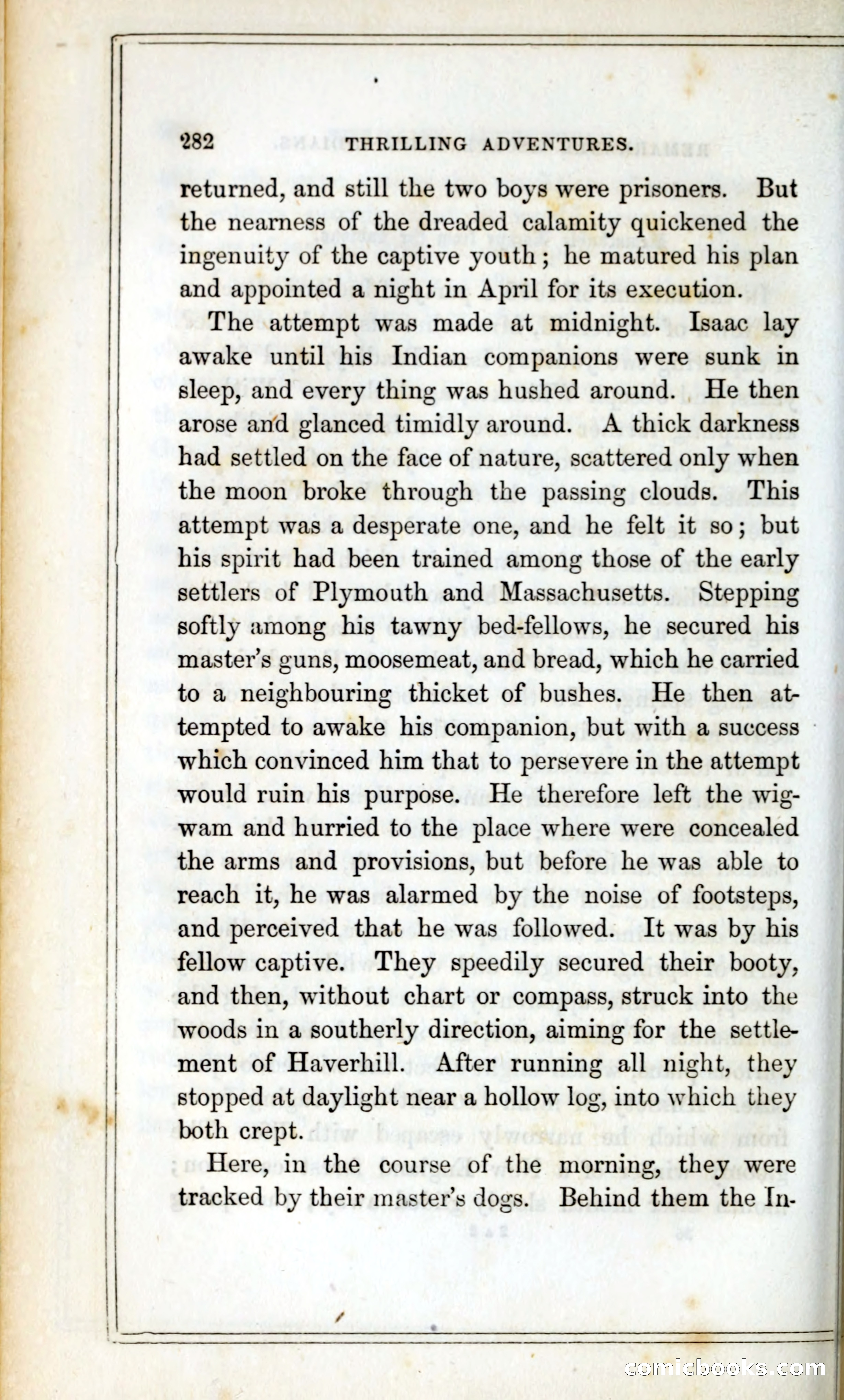 Thrilling Adventures Among the Indians — page 295 of 393