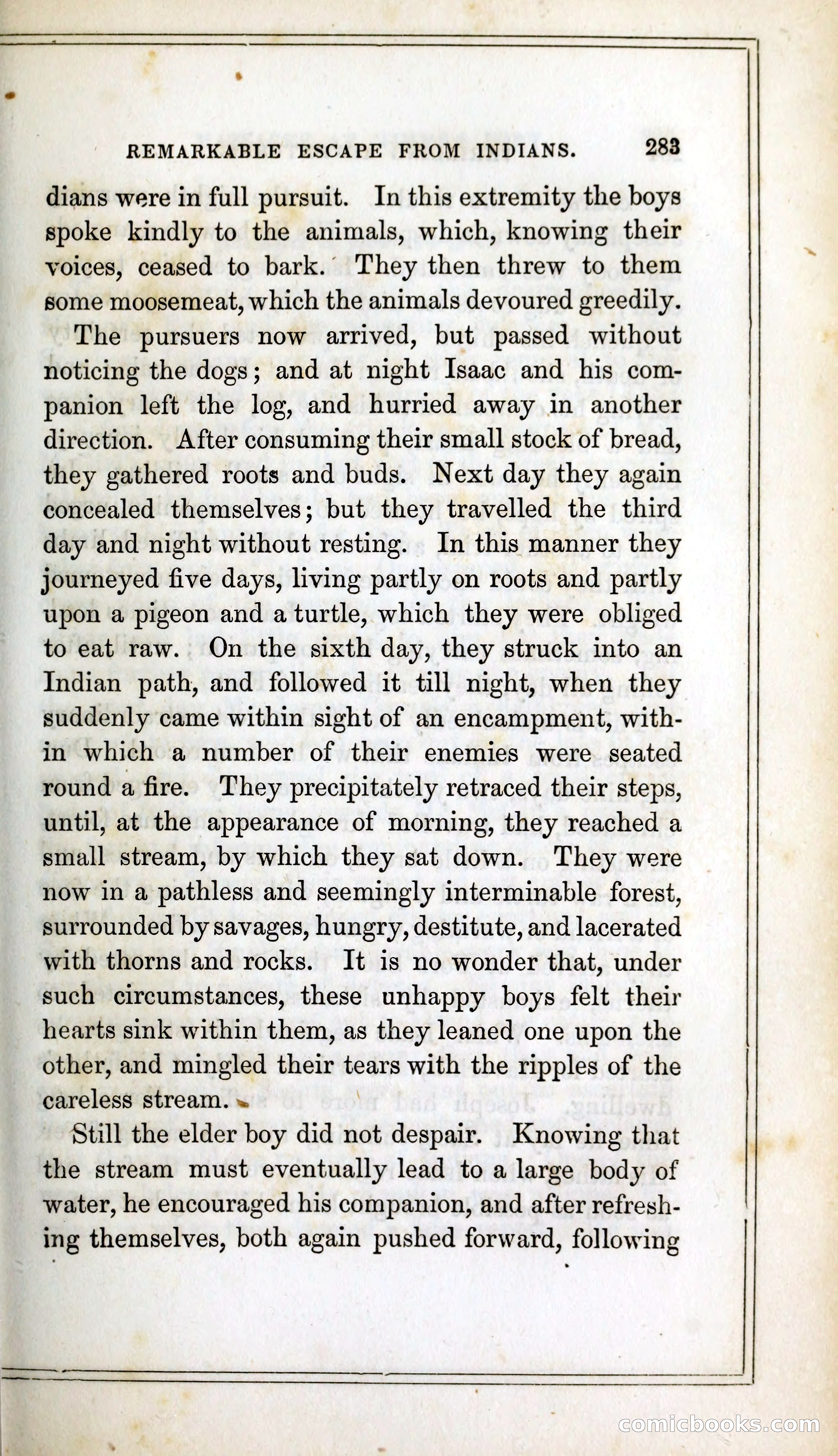 Thrilling Adventures Among the Indians — page 296 of 393