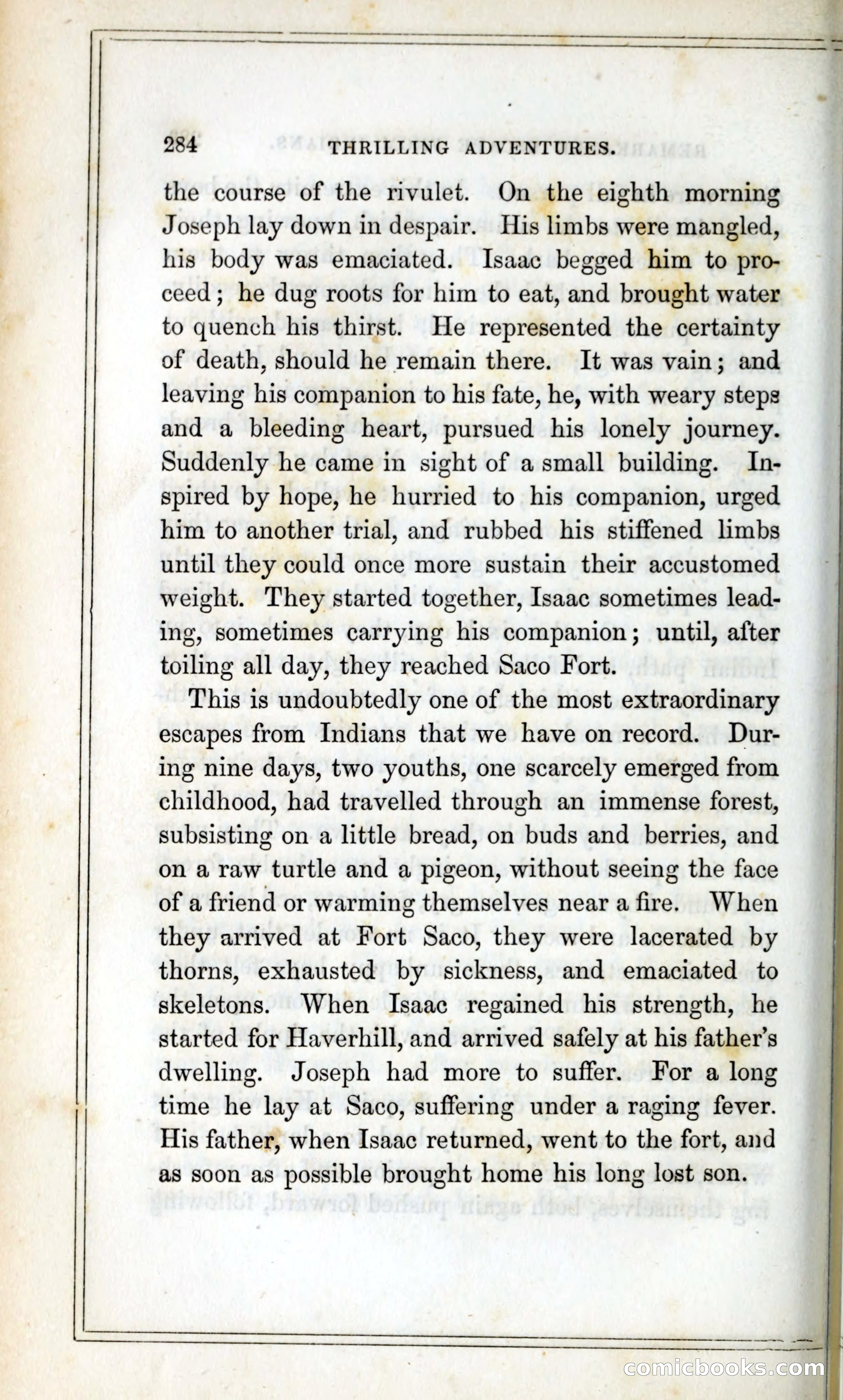 Thrilling Adventures Among the Indians — page 297 of 393