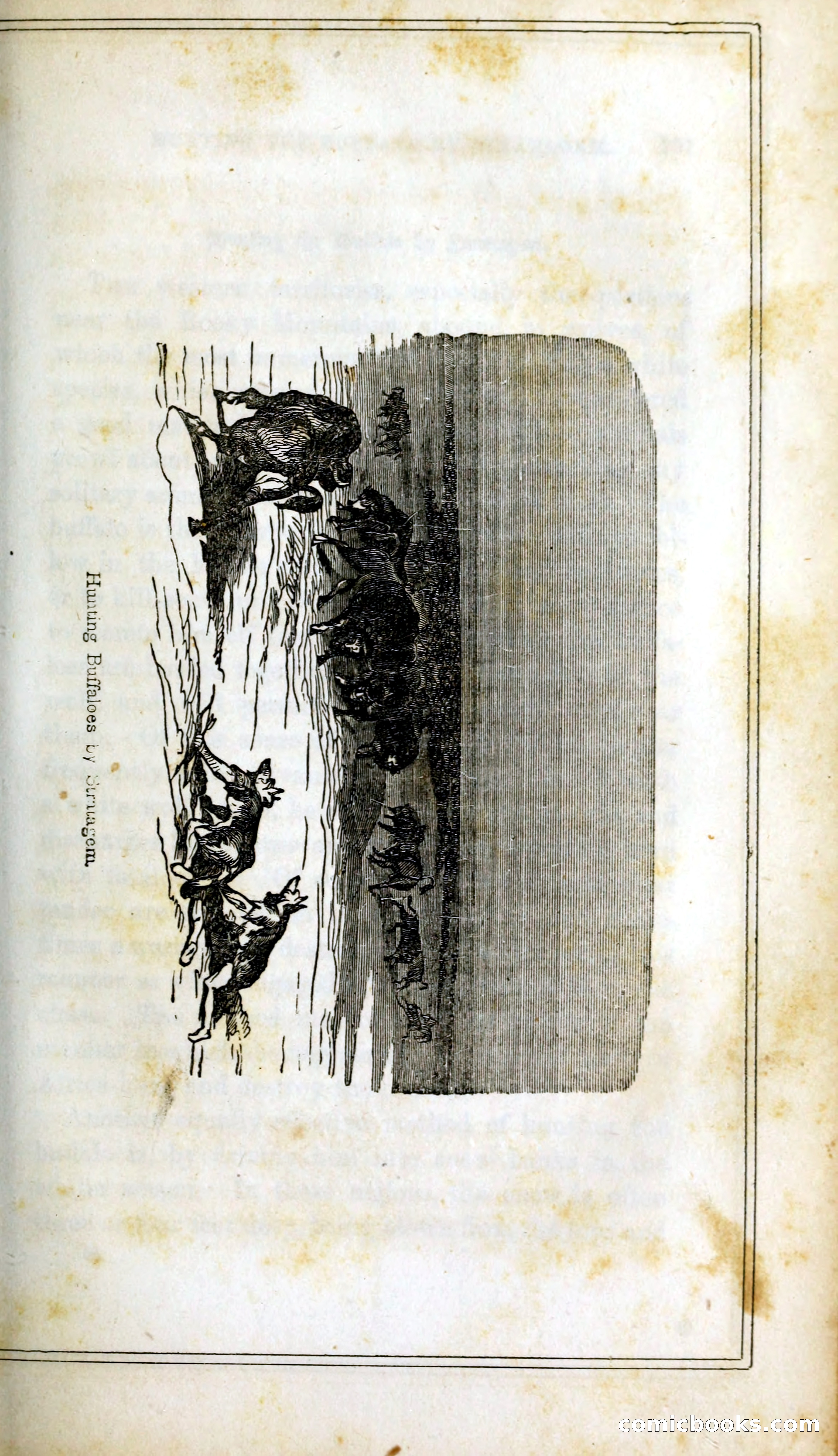 Thrilling Adventures Among the Indians — page 308 of 393
