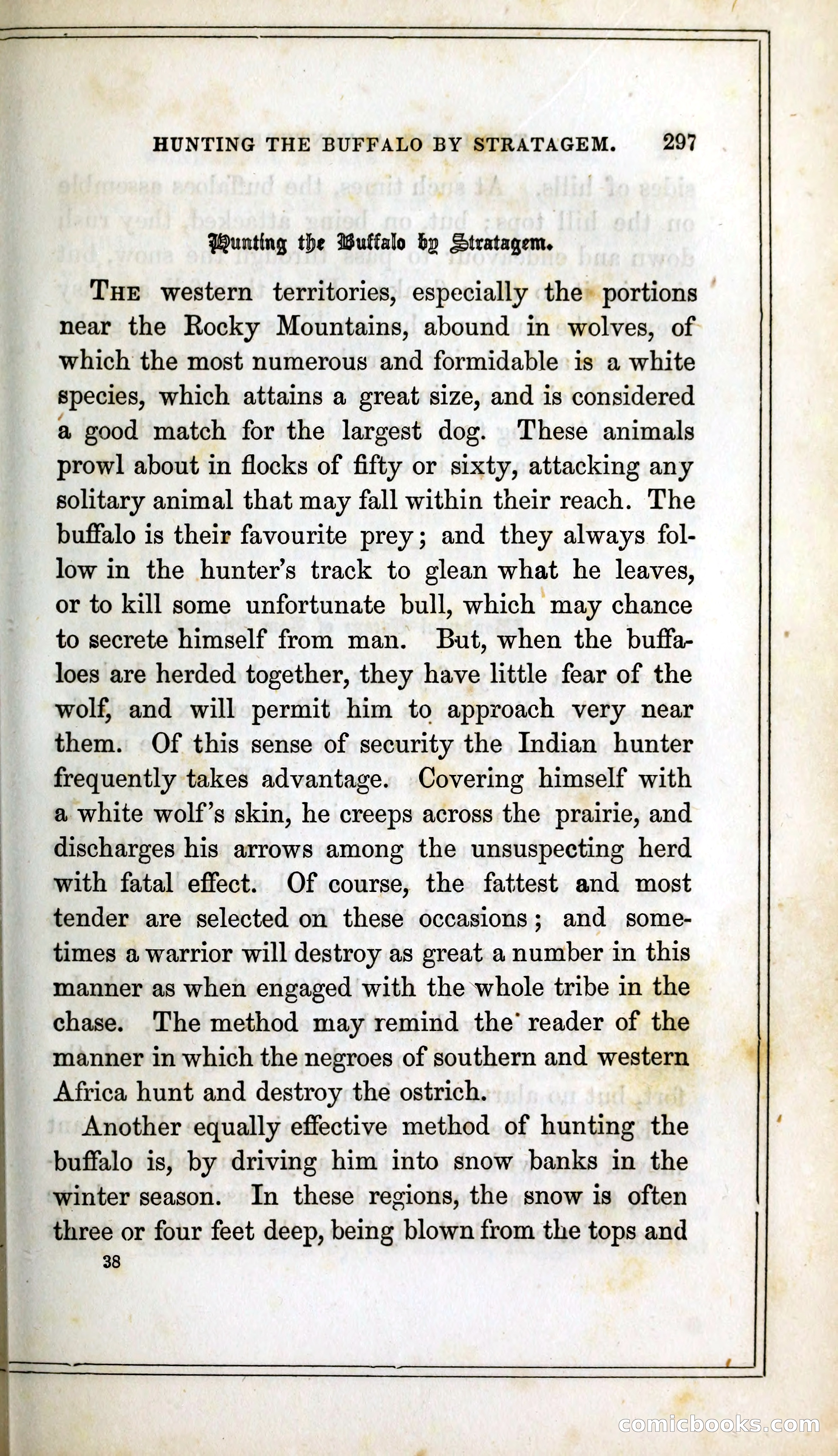 Thrilling Adventures Among the Indians — page 310 of 393
