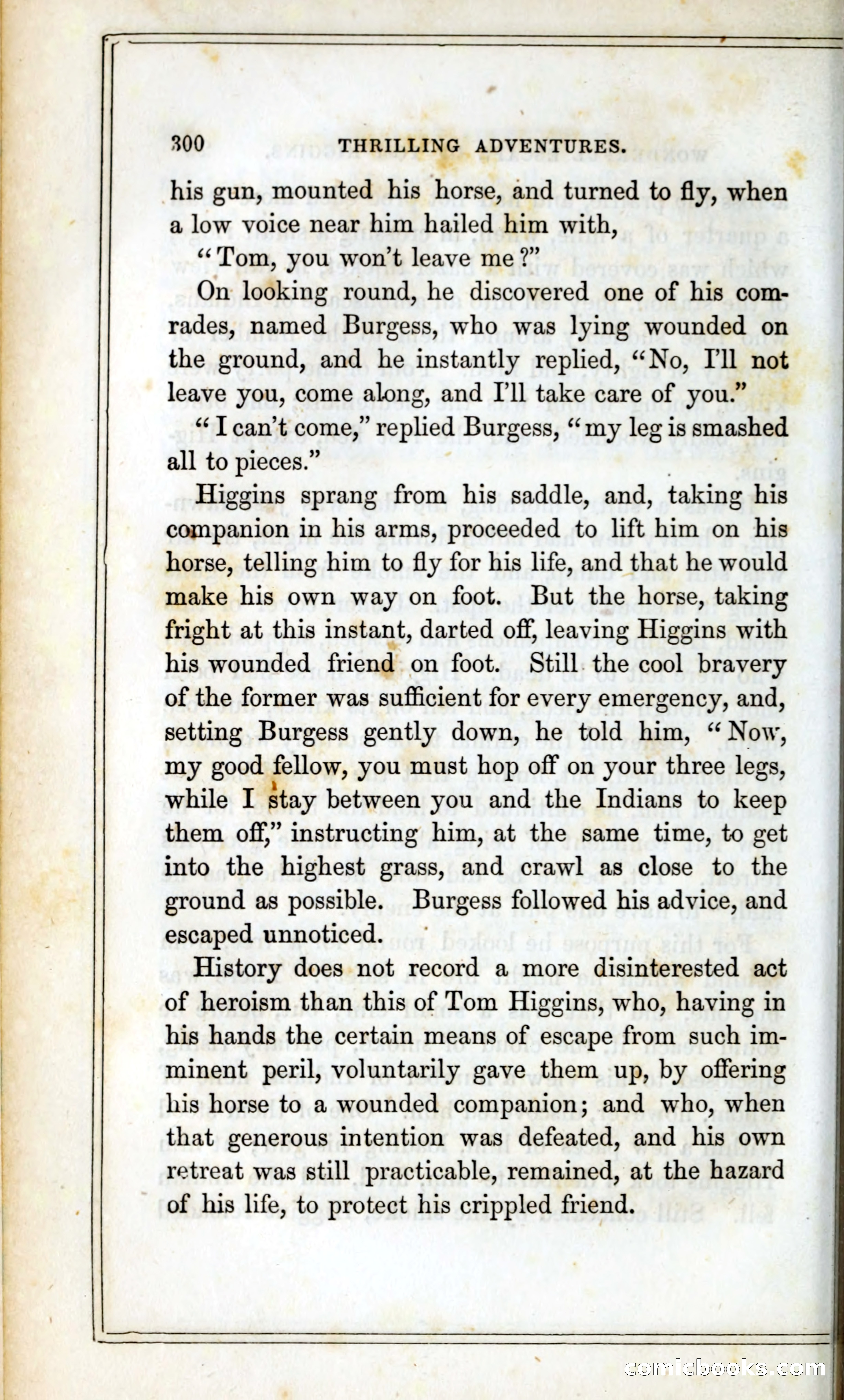 Thrilling Adventures Among the Indians — page 313 of 393