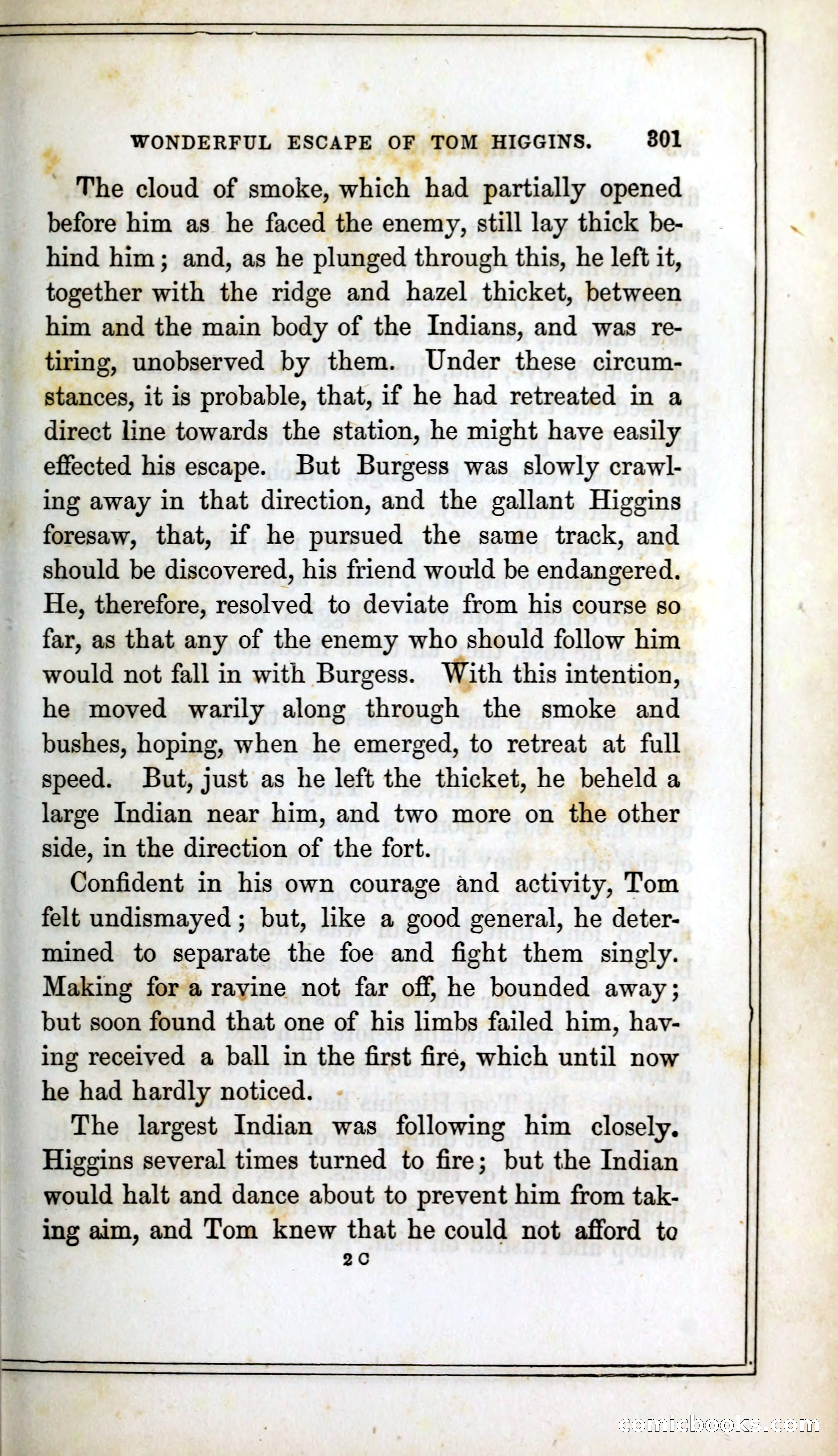Thrilling Adventures Among the Indians — page 314 of 393