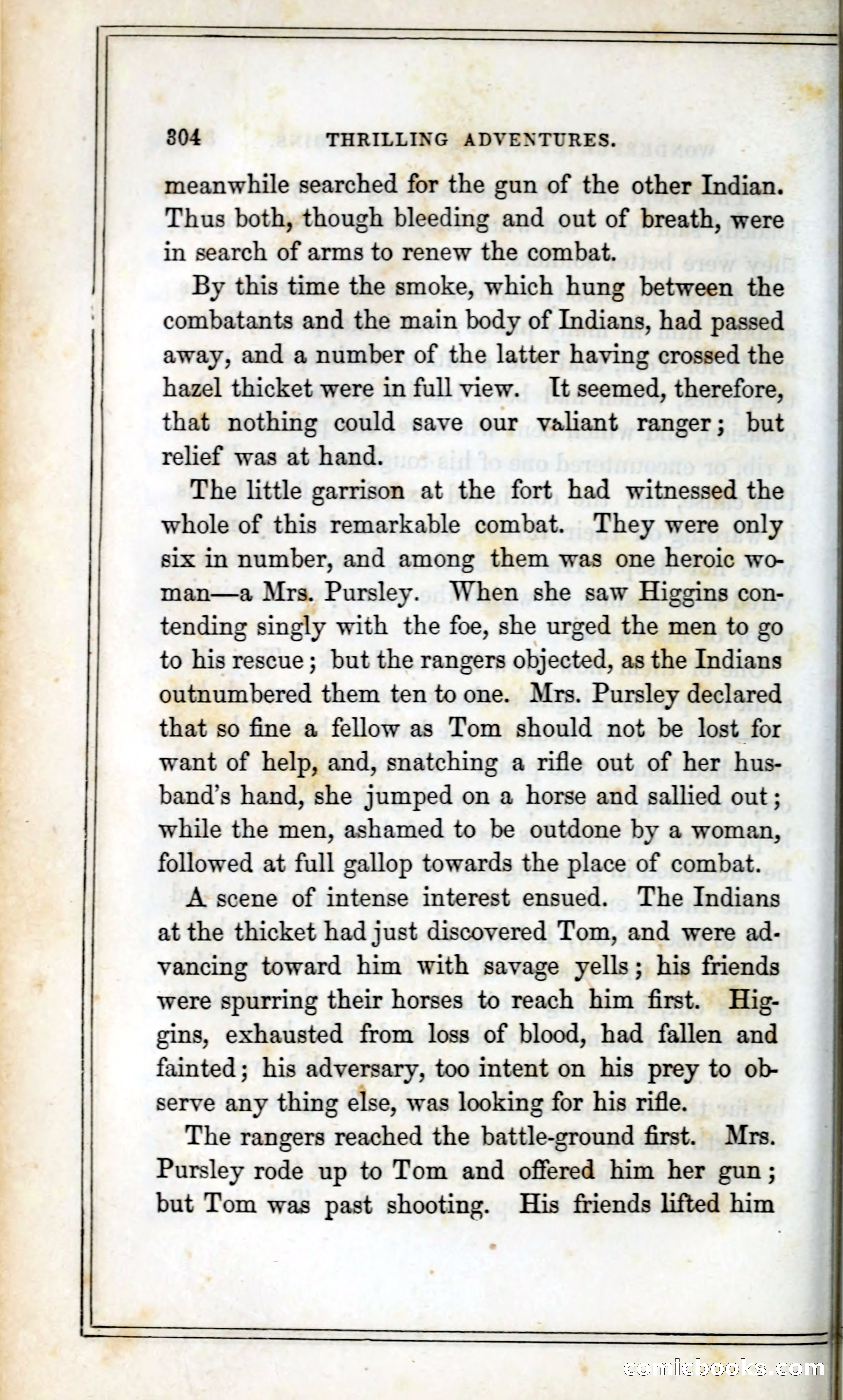 Thrilling Adventures Among the Indians — page 317 of 393