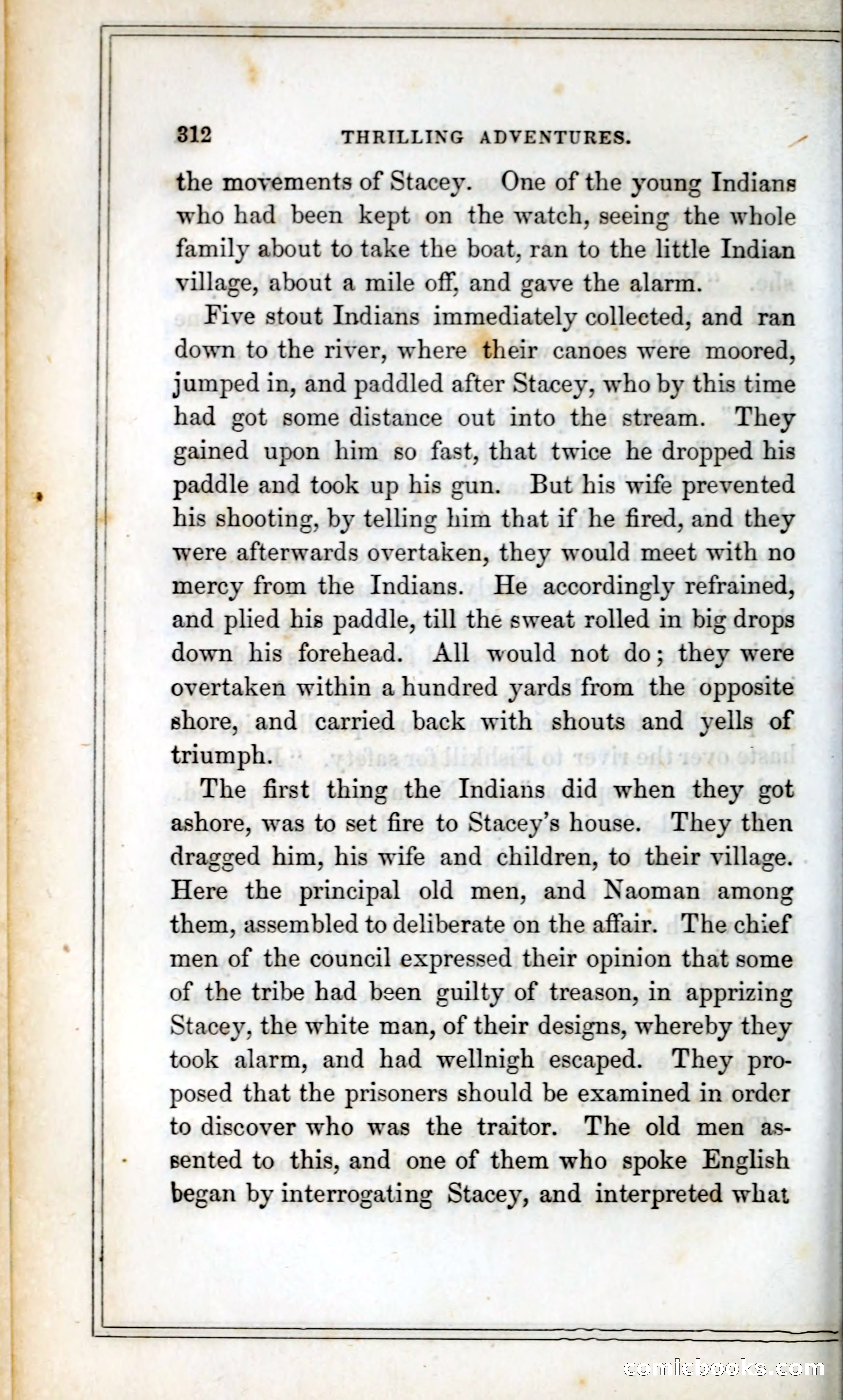 Thrilling Adventures Among the Indians — page 325 of 393
