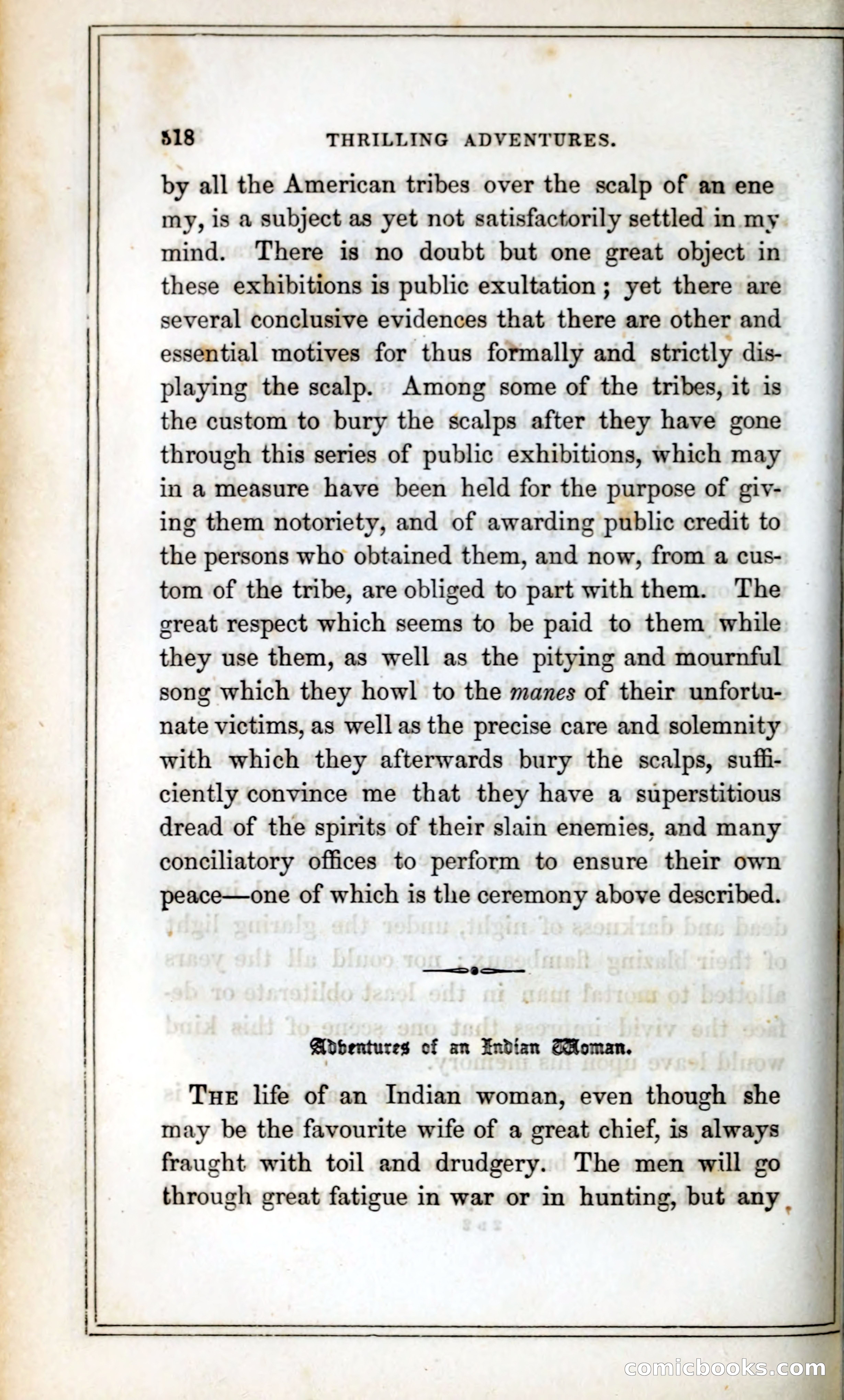 Thrilling Adventures Among the Indians — page 331 of 393