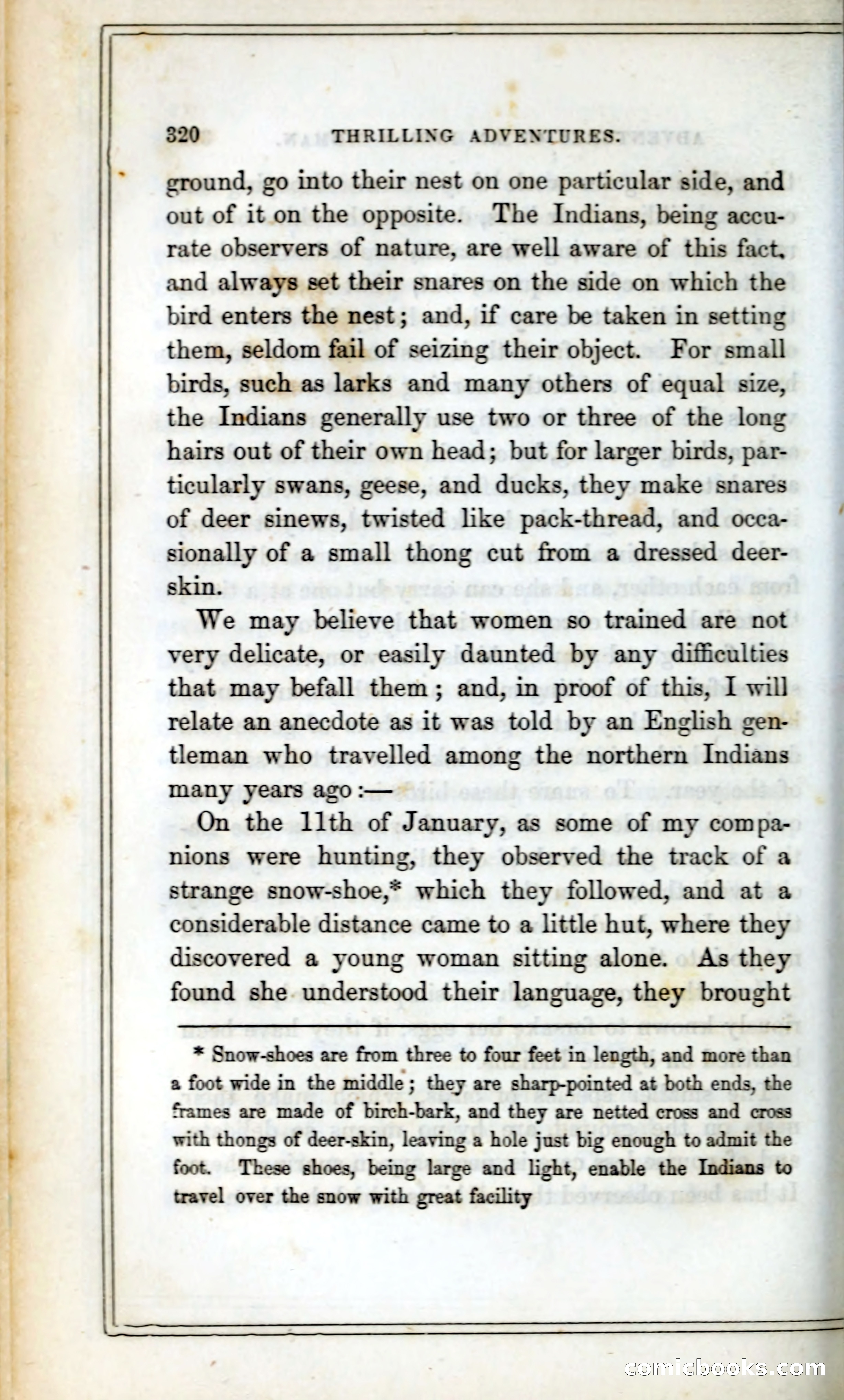 Thrilling Adventures Among the Indians — page 333 of 393