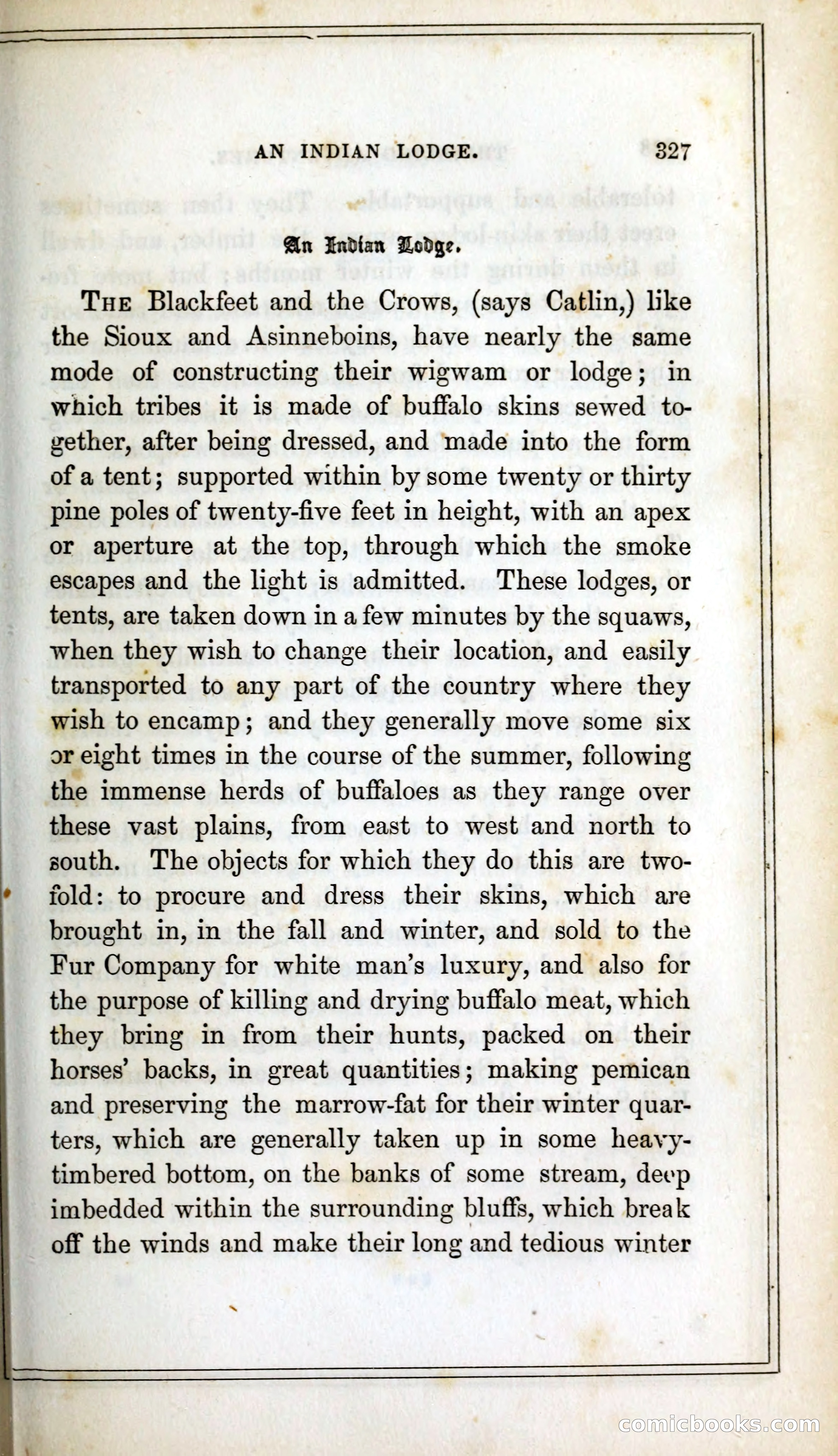 Thrilling Adventures Among the Indians — page 340 of 393