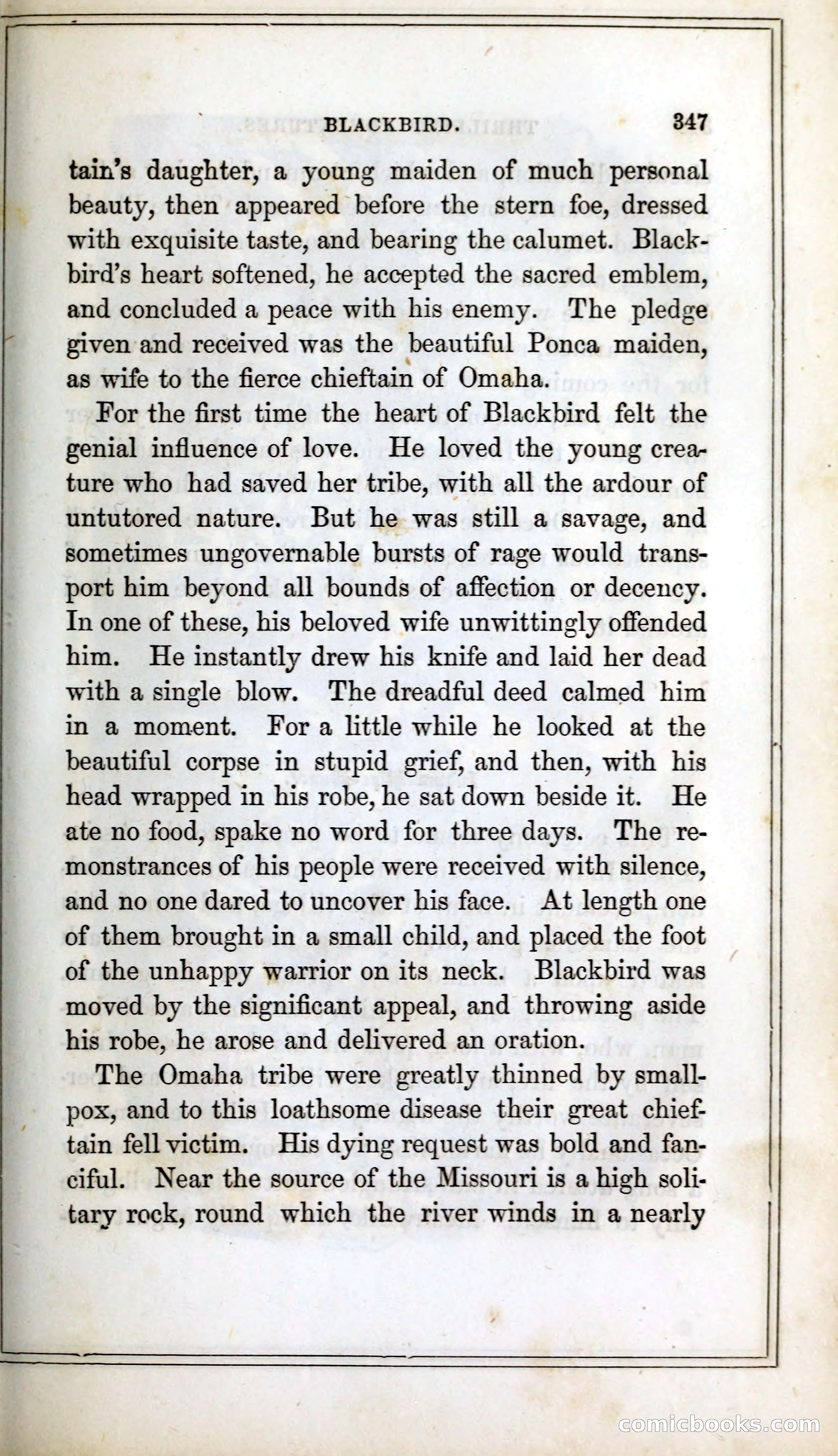 Thrilling Adventures Among the Indians — page 360 of 393