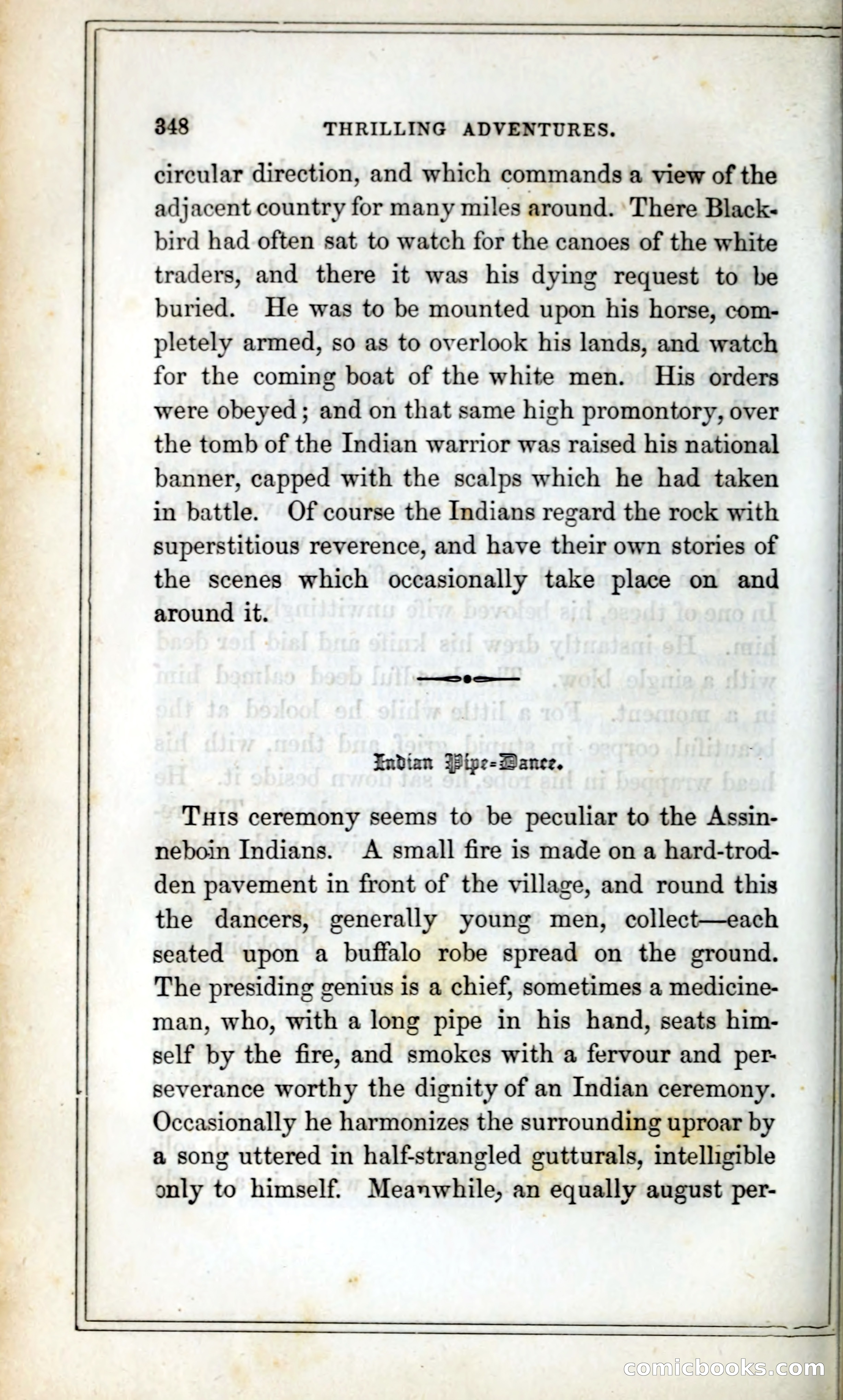 Thrilling Adventures Among the Indians — page 361 of 393