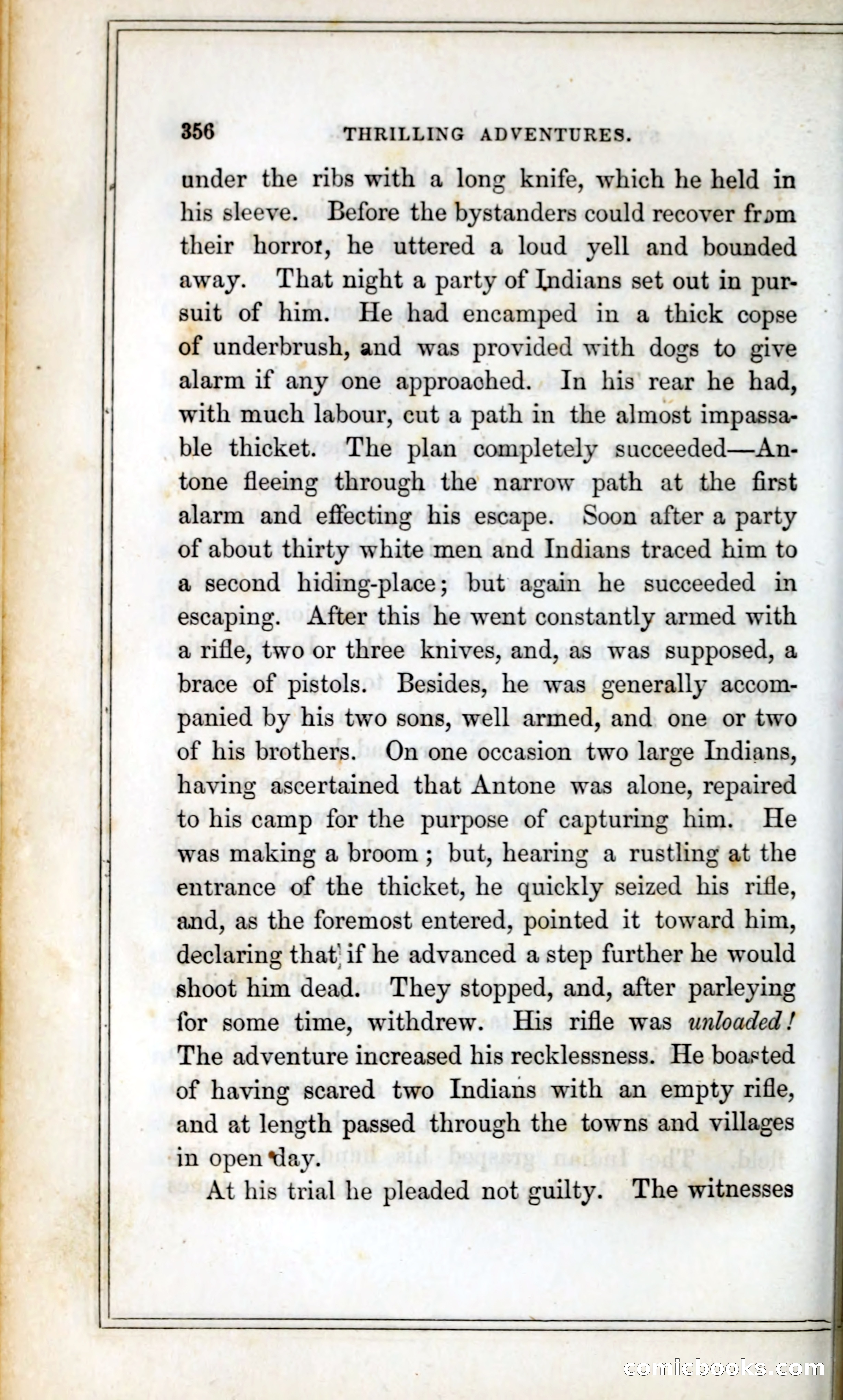 Thrilling Adventures Among the Indians — page 369 of 393