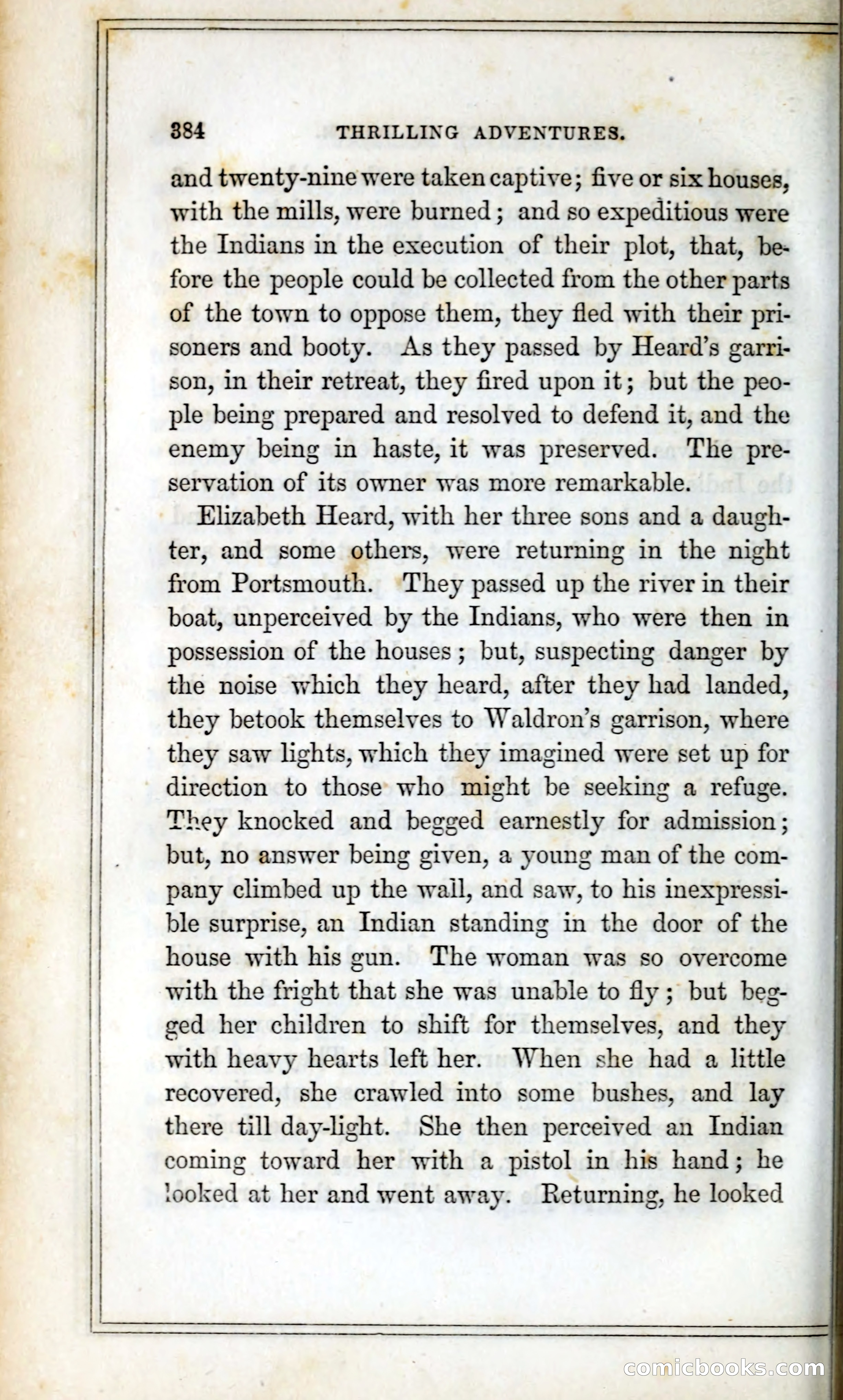 Thrilling Adventures Among the Indians — page 397 of 393