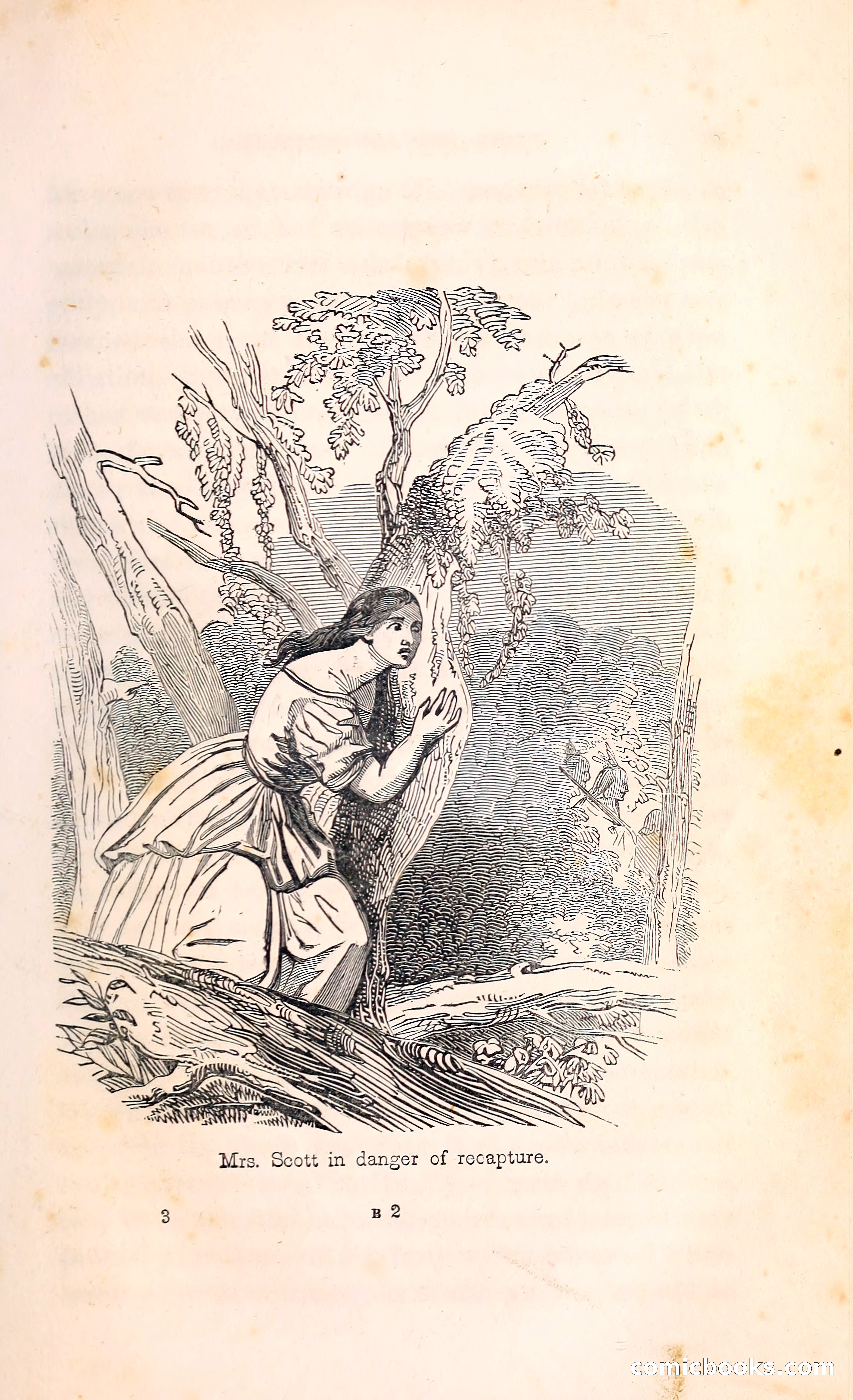 Thrilling Adventures Among the Indians — page 30 of 396