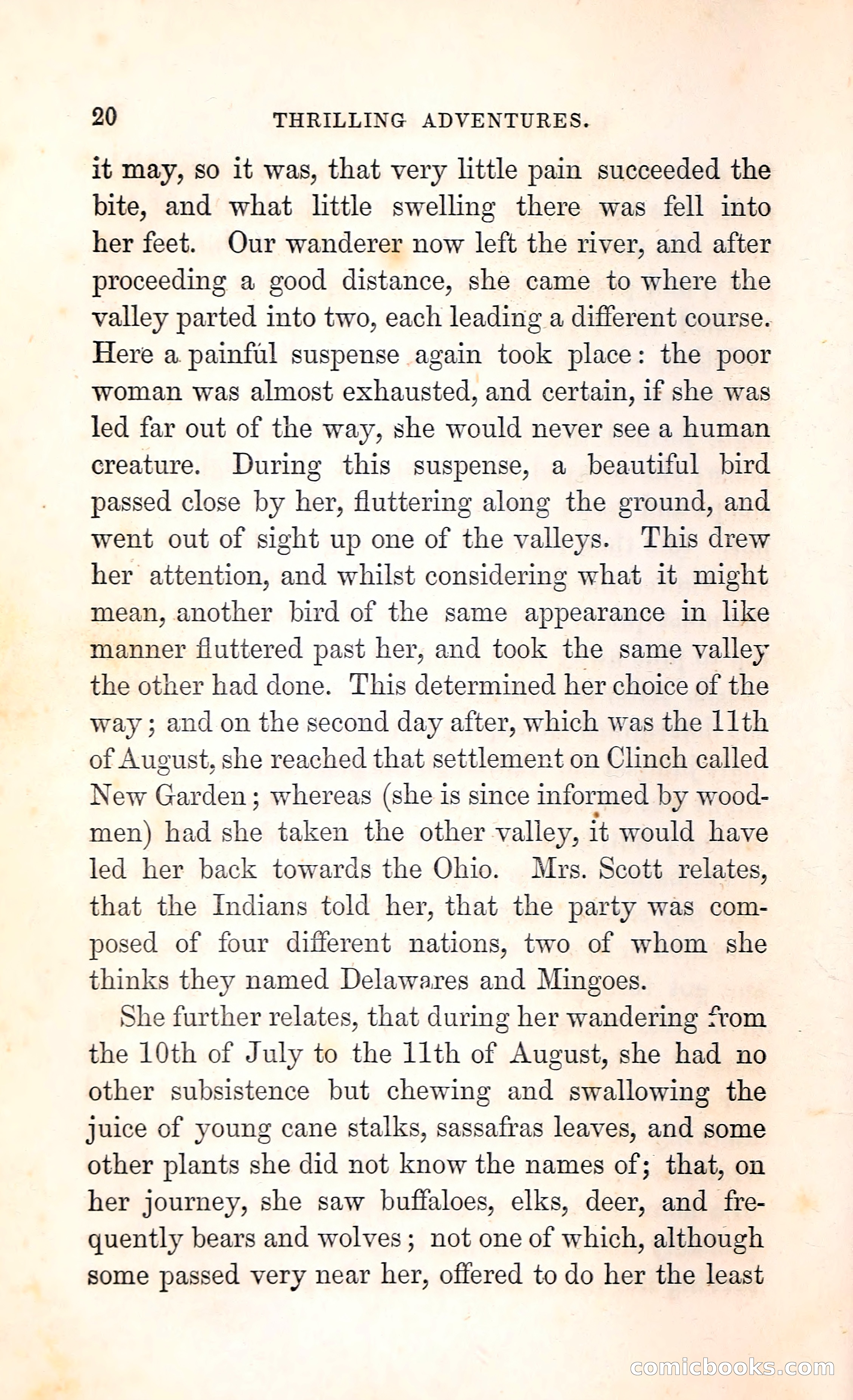 Thrilling Adventures Among the Indians — page 33 of 396