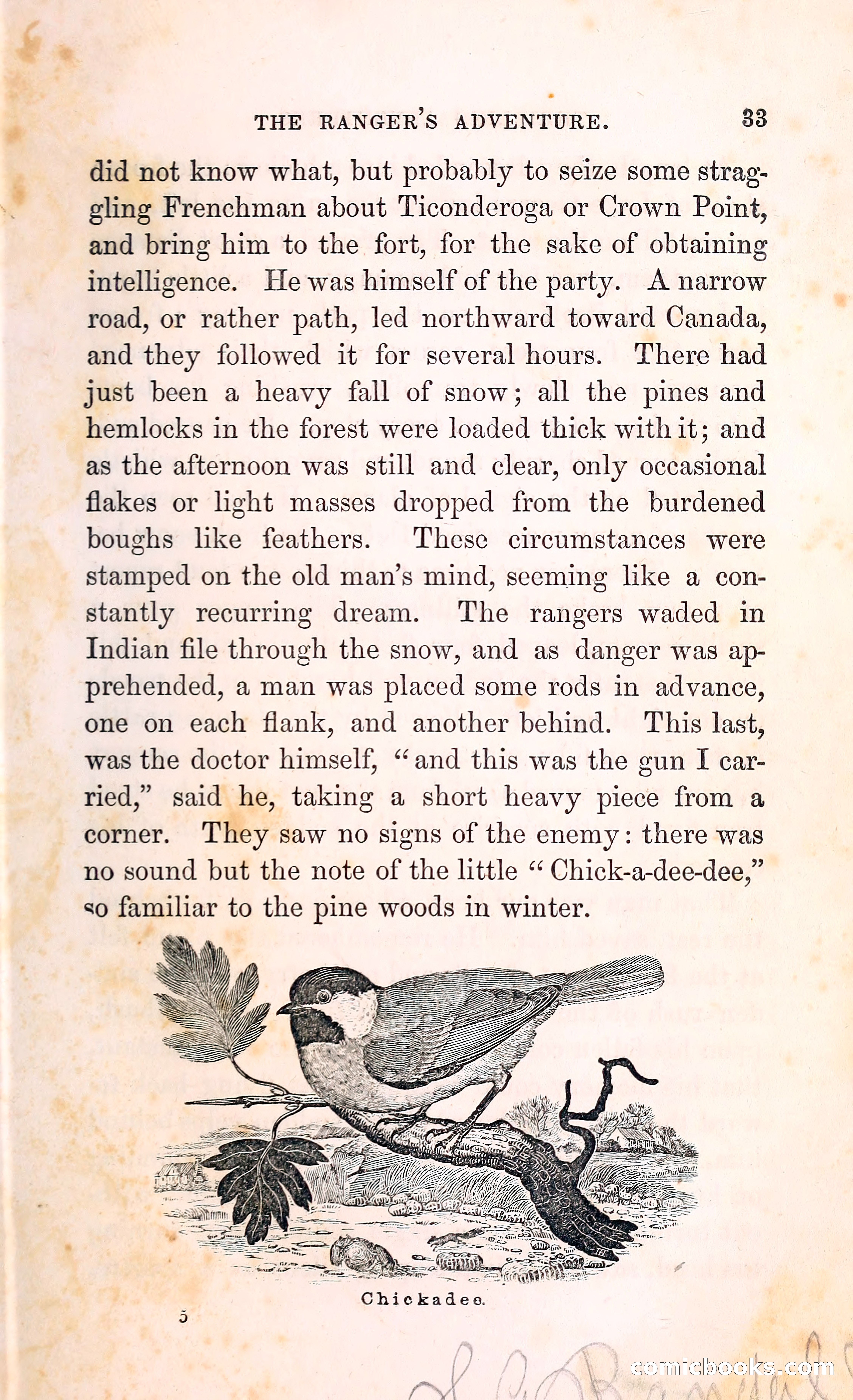 Thrilling Adventures Among the Indians — page 46 of 396
