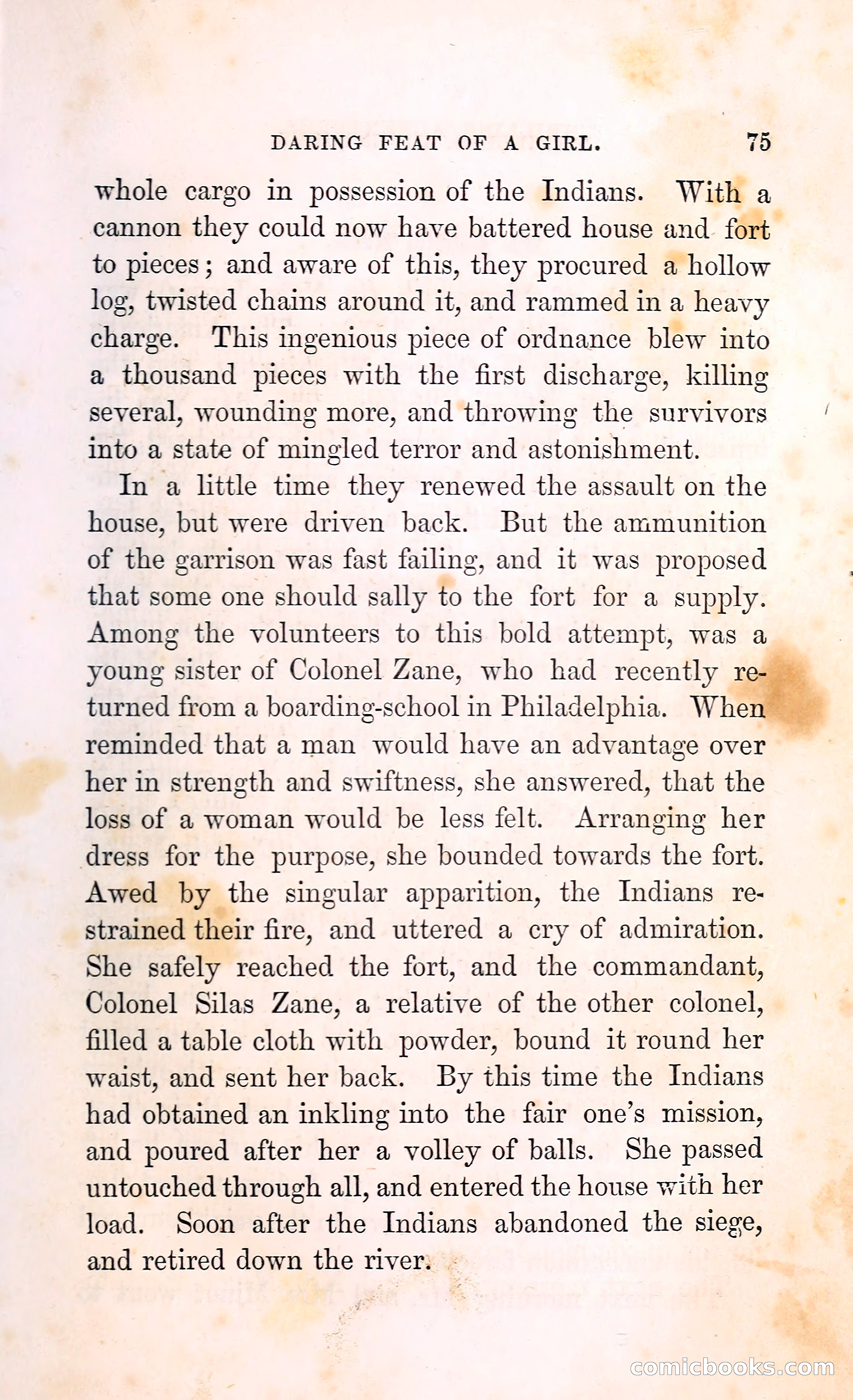 Thrilling Adventures Among the Indians — page 88 of 396