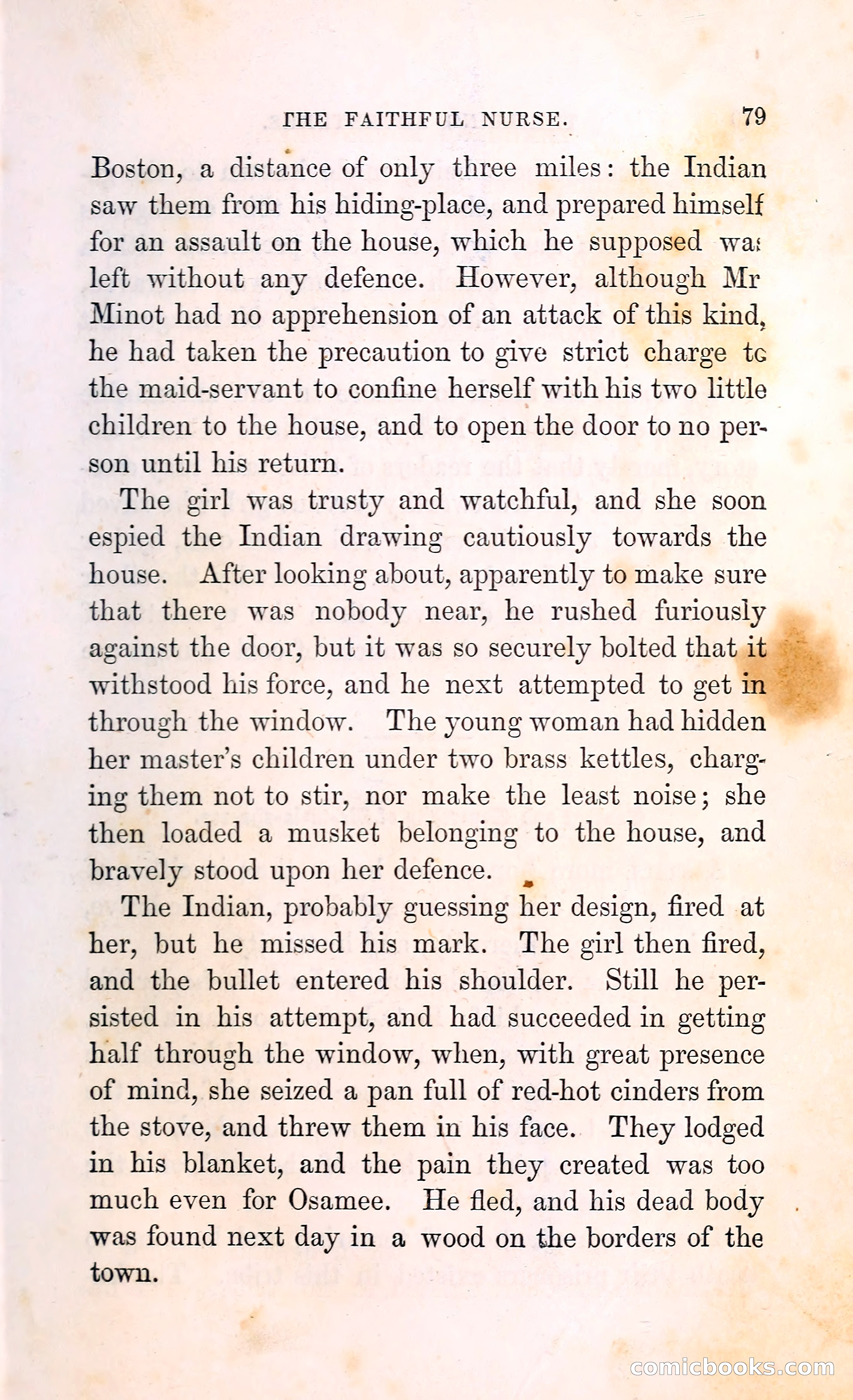 Thrilling Adventures Among the Indians — page 92 of 396