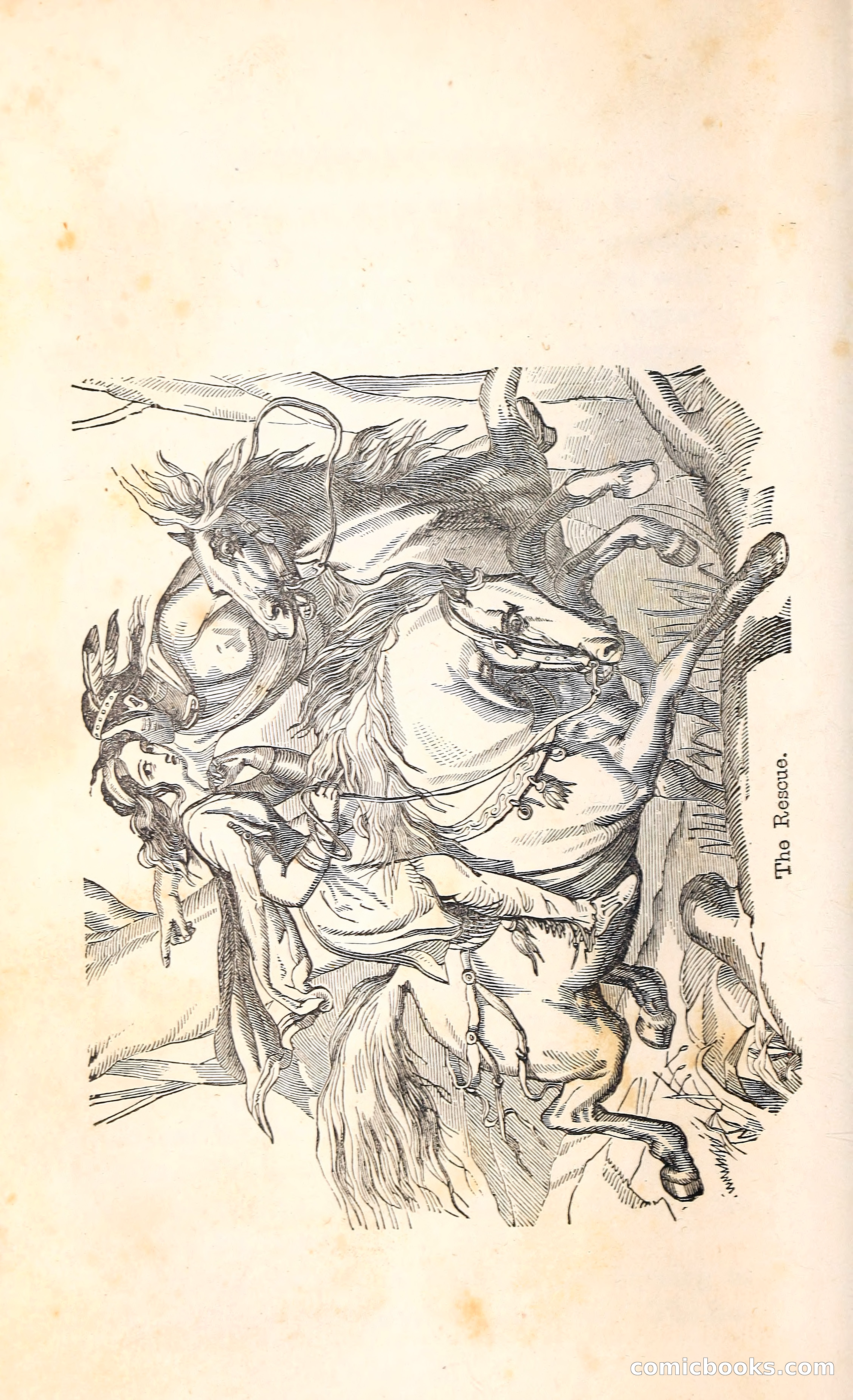 Thrilling Adventures Among the Indians — page 95 of 396