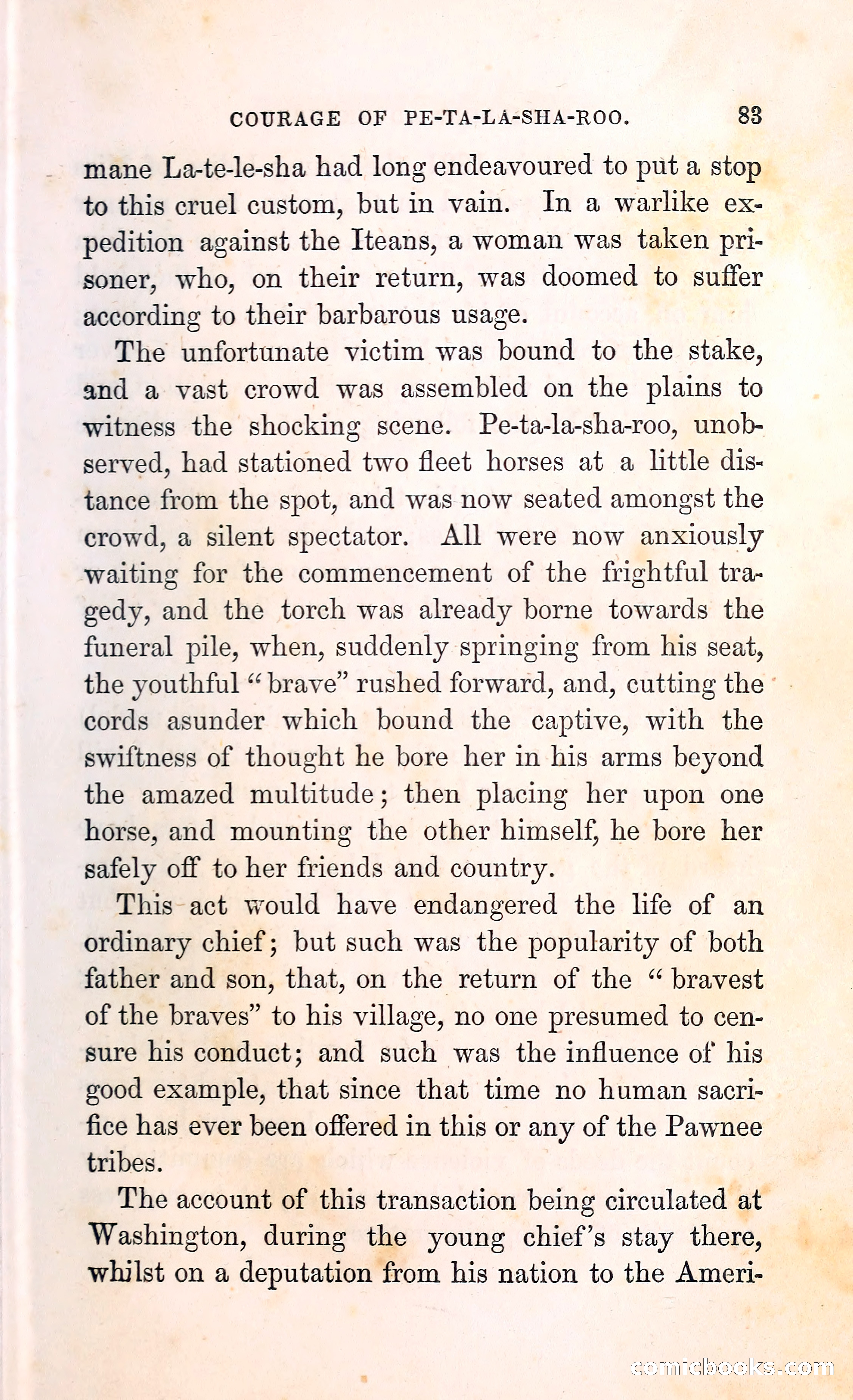 Thrilling Adventures Among the Indians — page 96 of 396