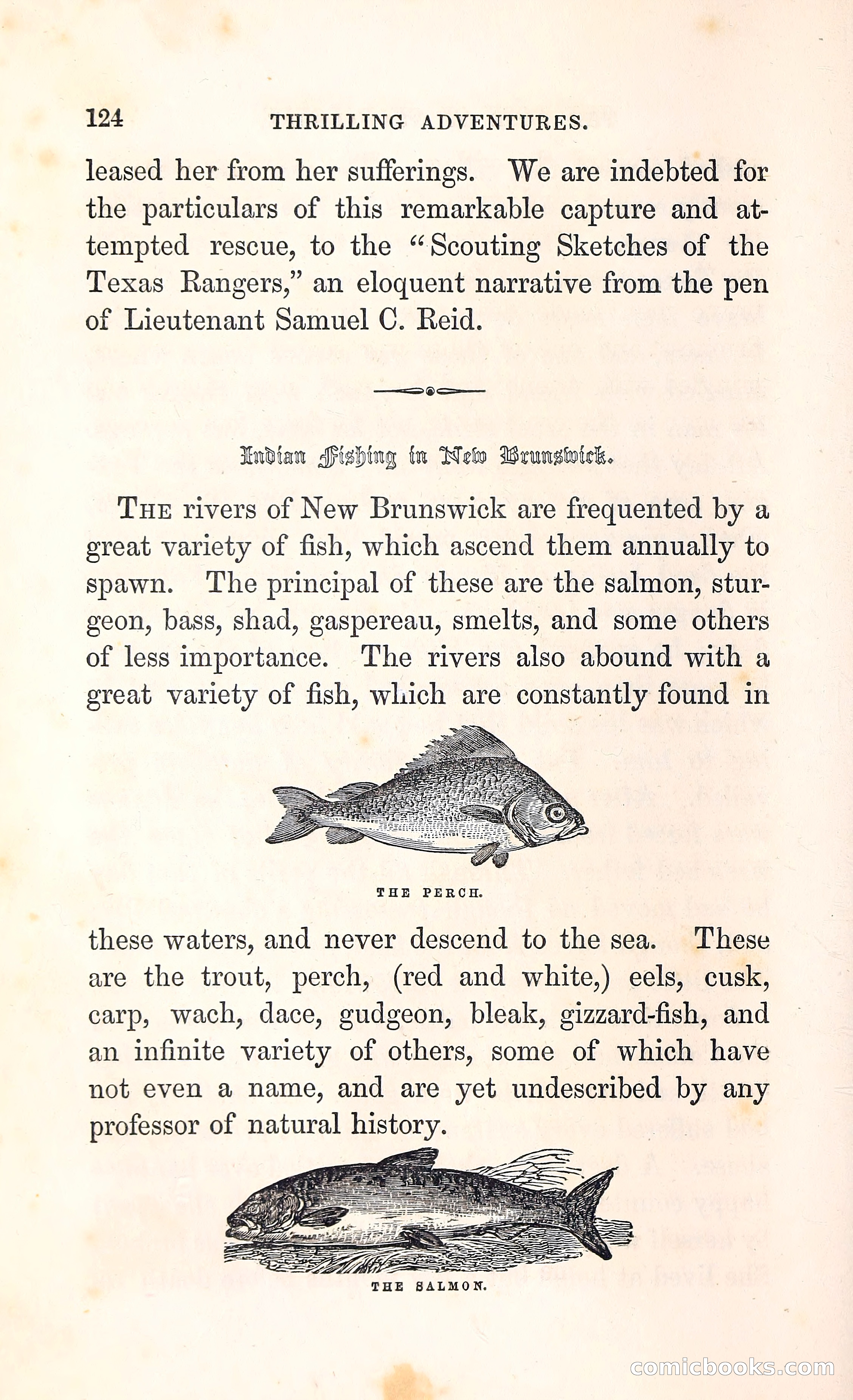 Thrilling Adventures Among the Indians — page 137 of 396