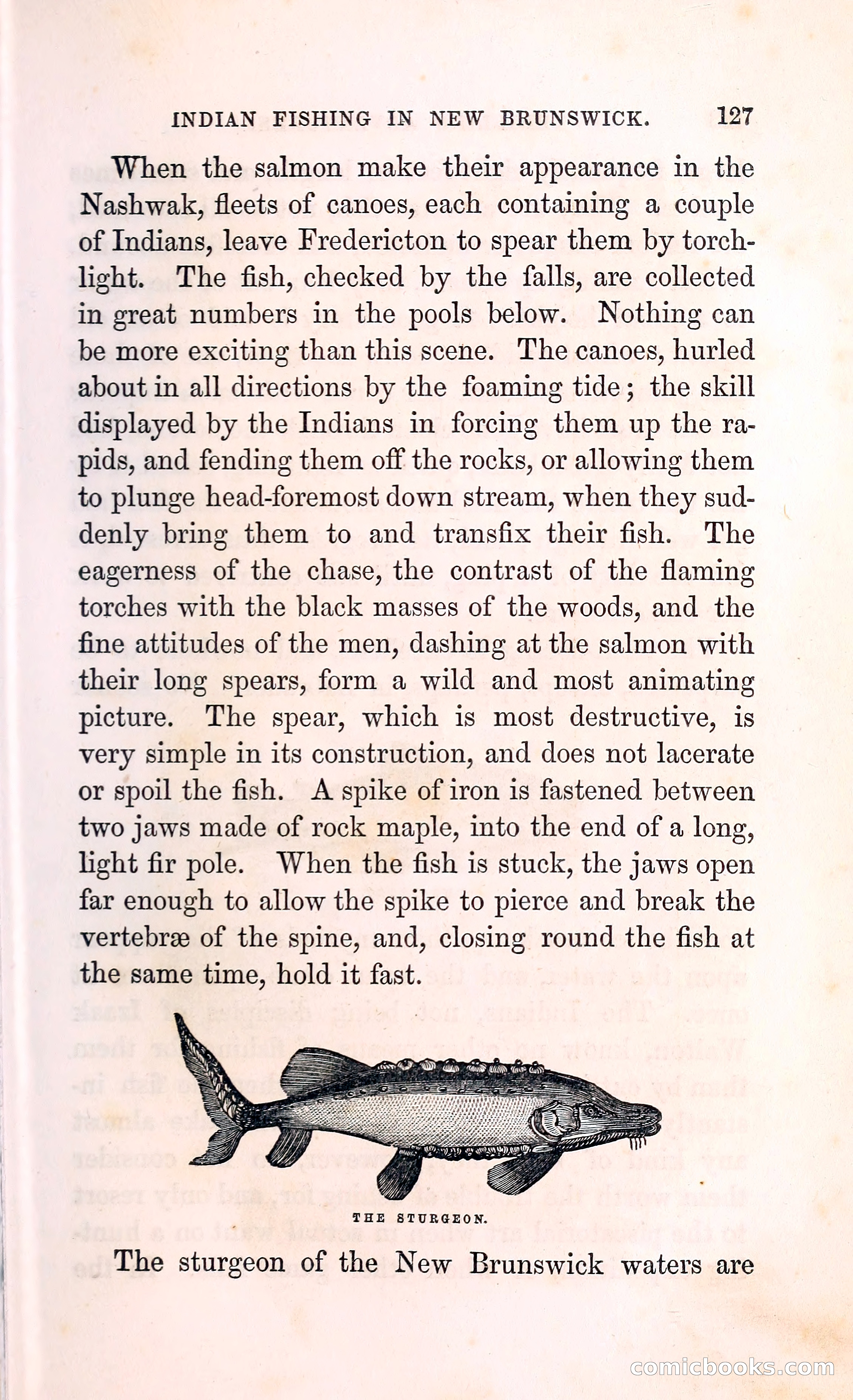 Thrilling Adventures Among the Indians — page 140 of 396