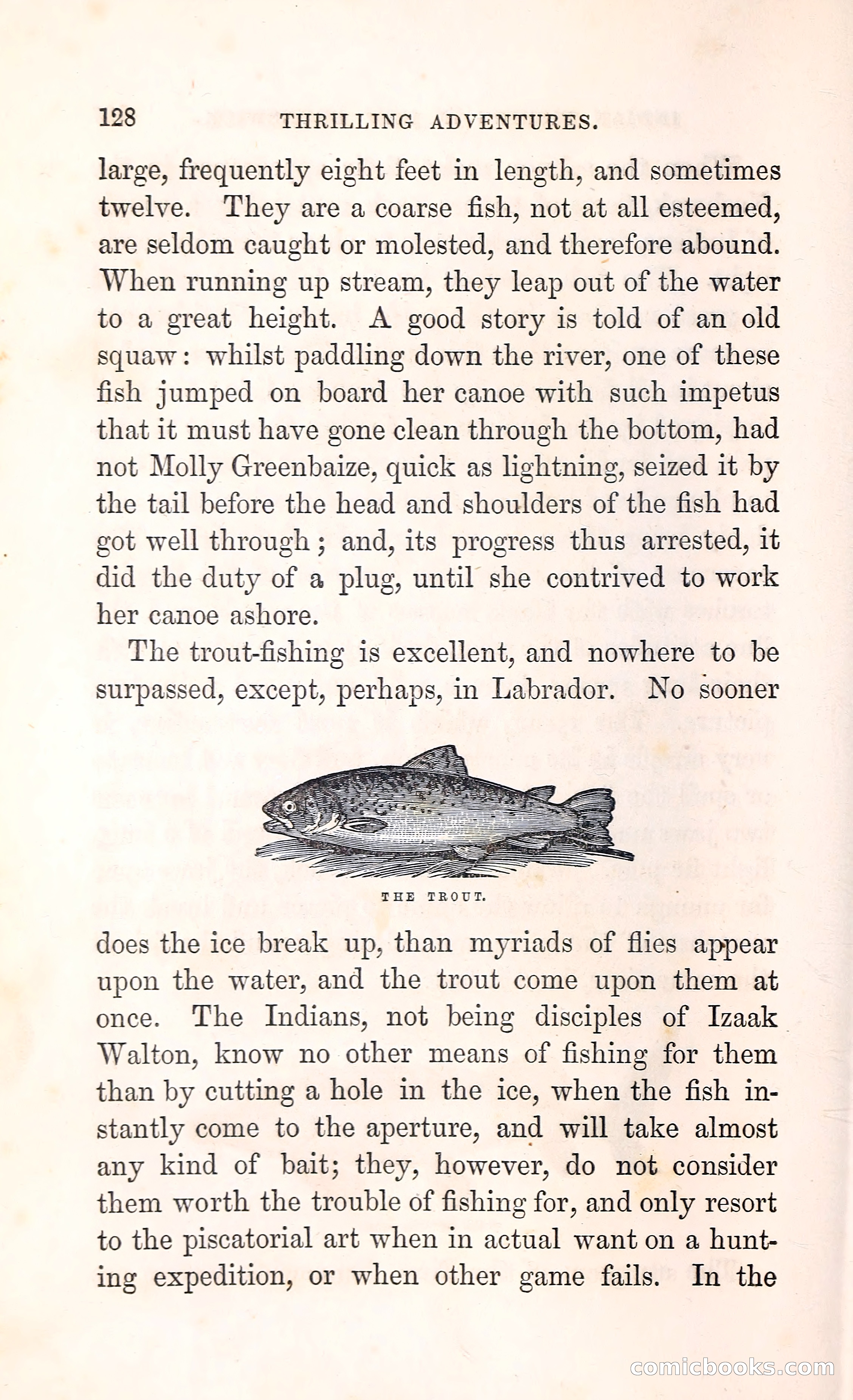 Thrilling Adventures Among the Indians — page 141 of 396