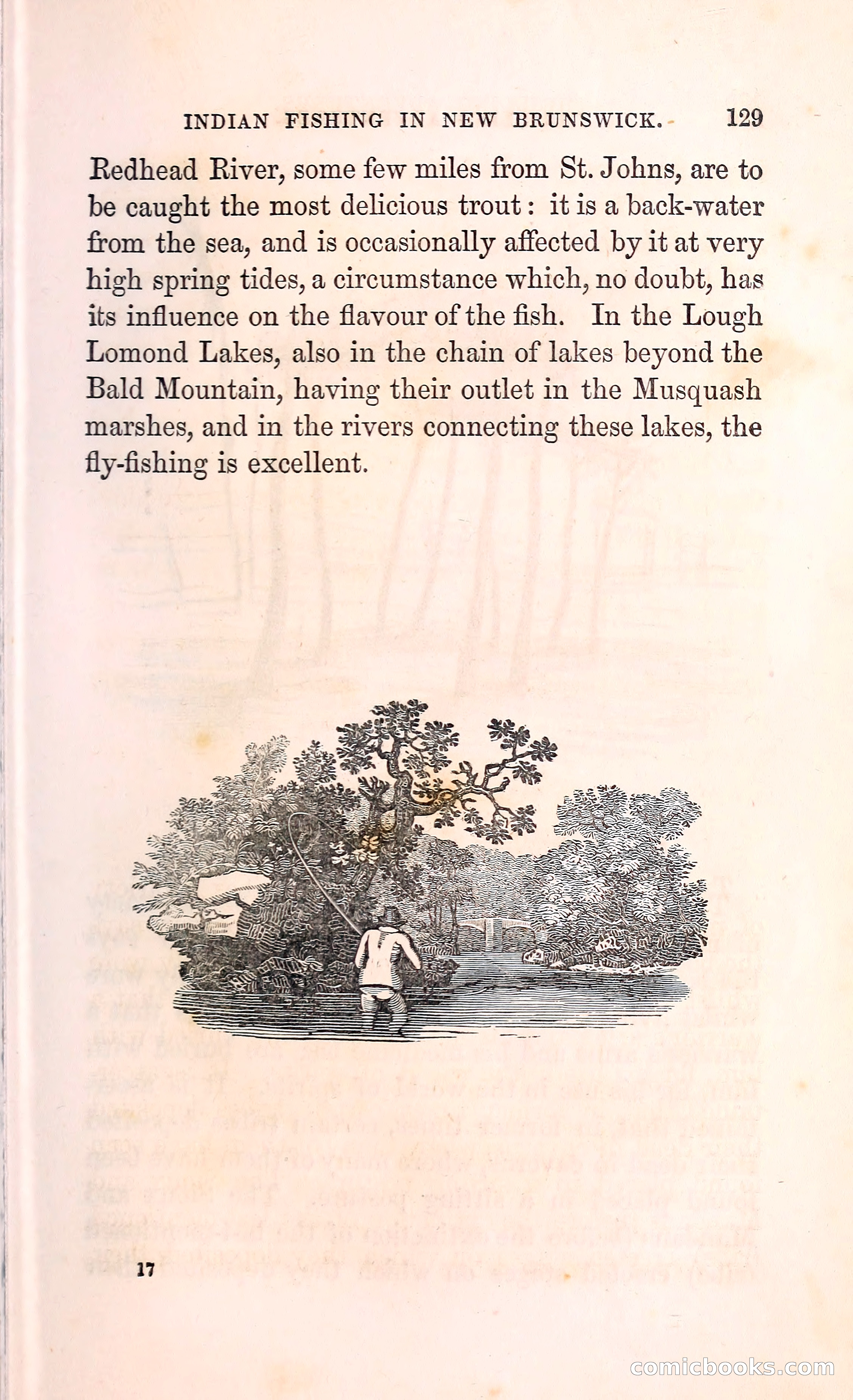 Thrilling Adventures Among the Indians — page 142 of 396