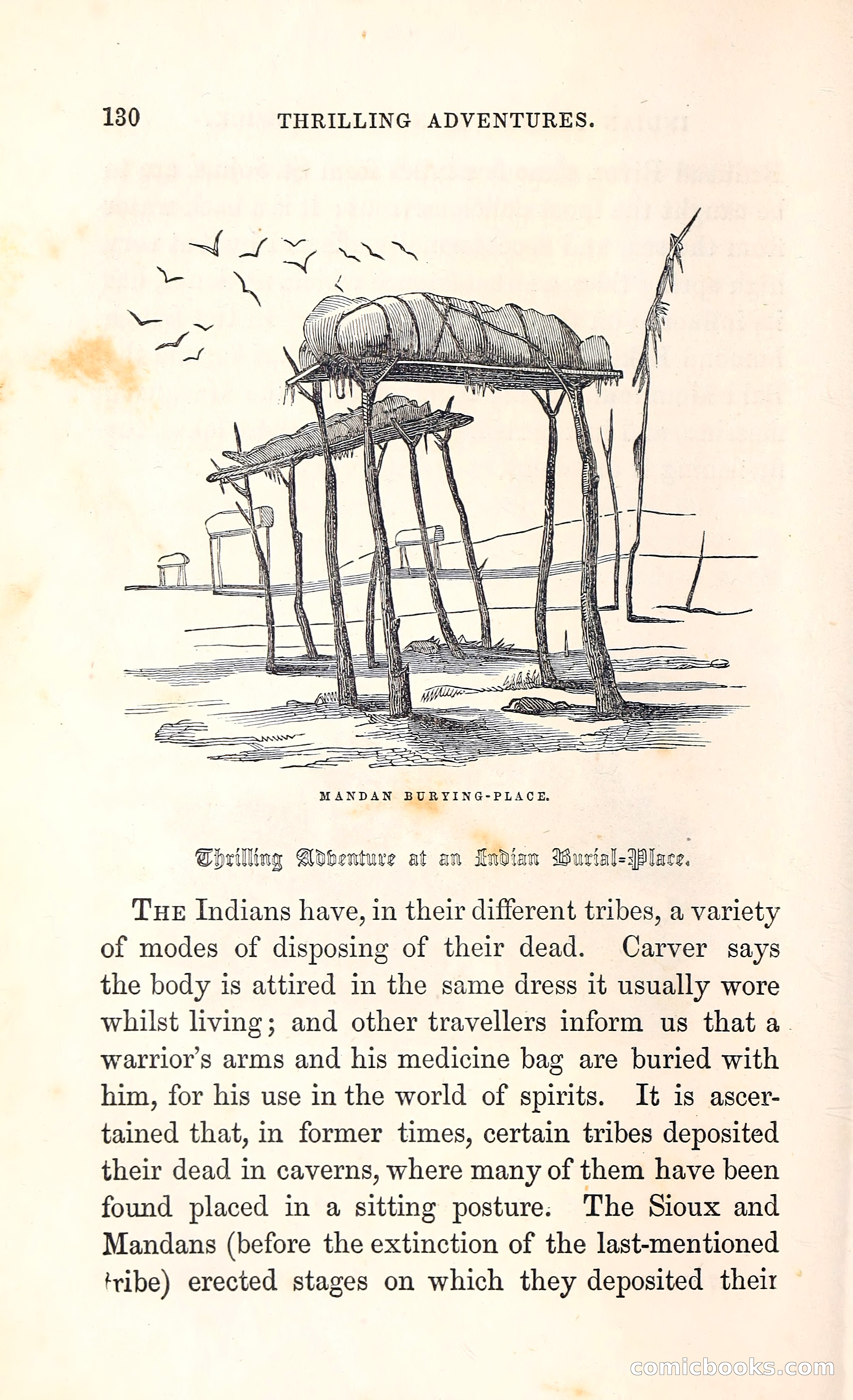 Thrilling Adventures Among the Indians — page 143 of 396