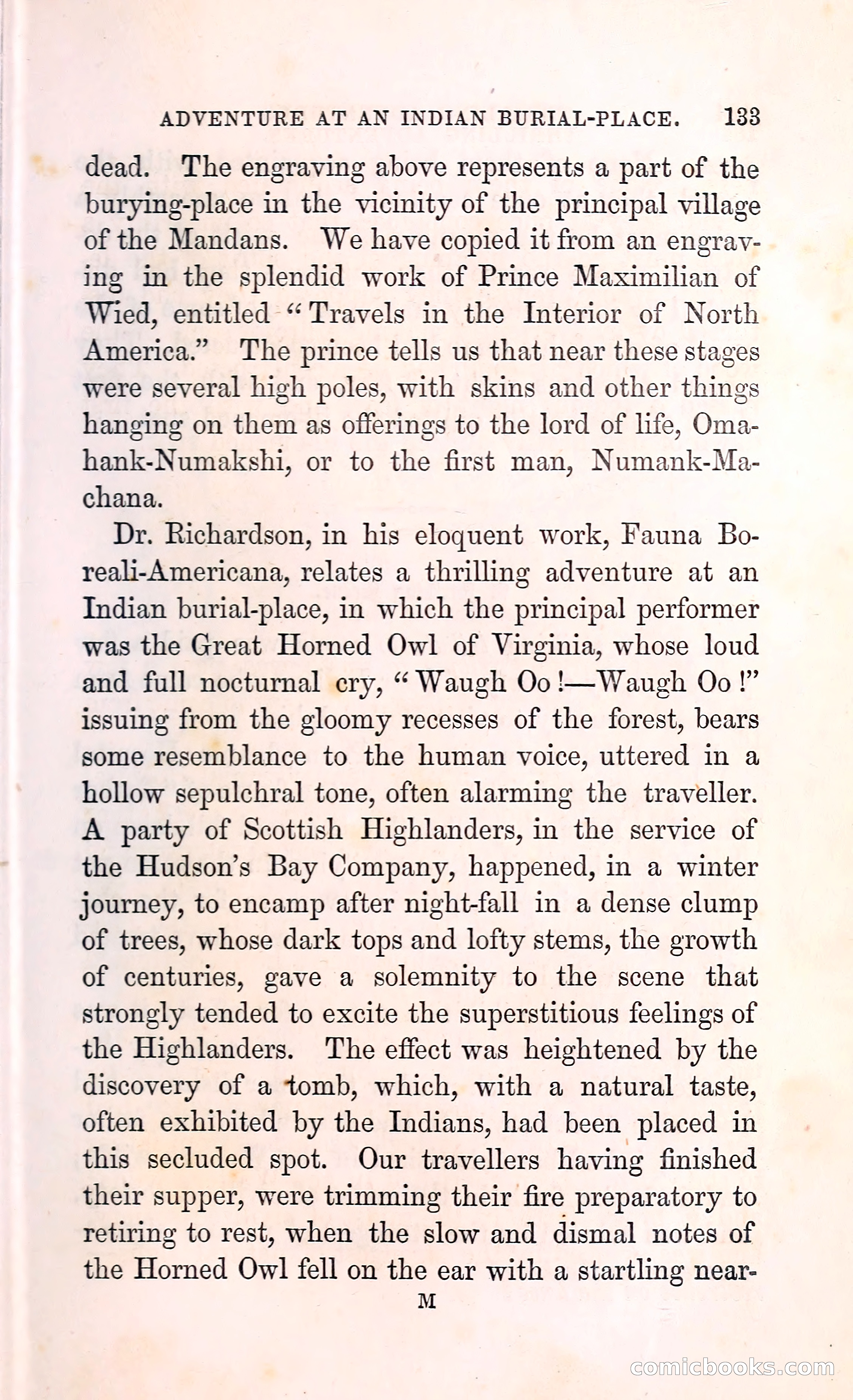 Thrilling Adventures Among the Indians — page 146 of 396
