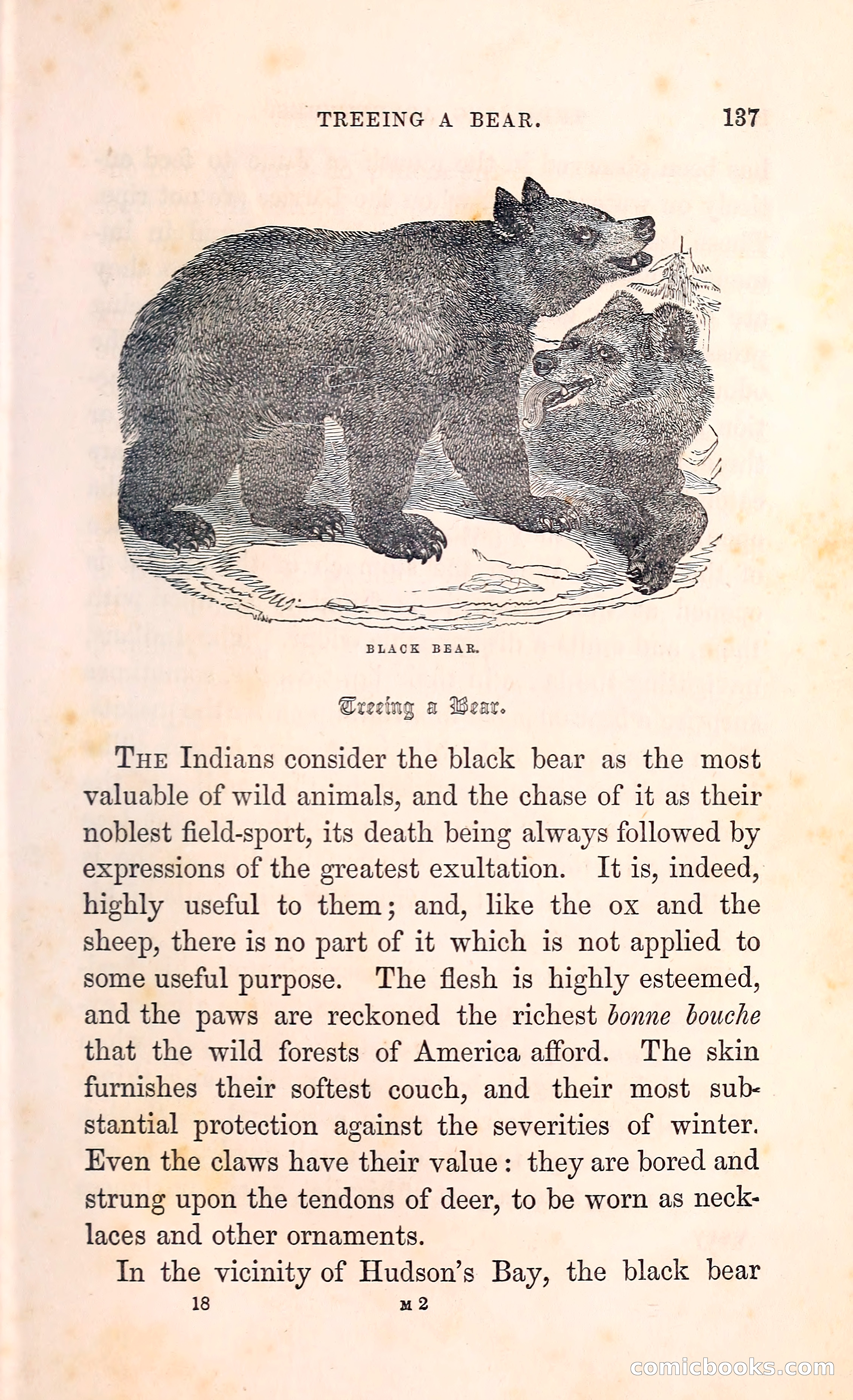 Thrilling Adventures Among the Indians — page 150 of 396