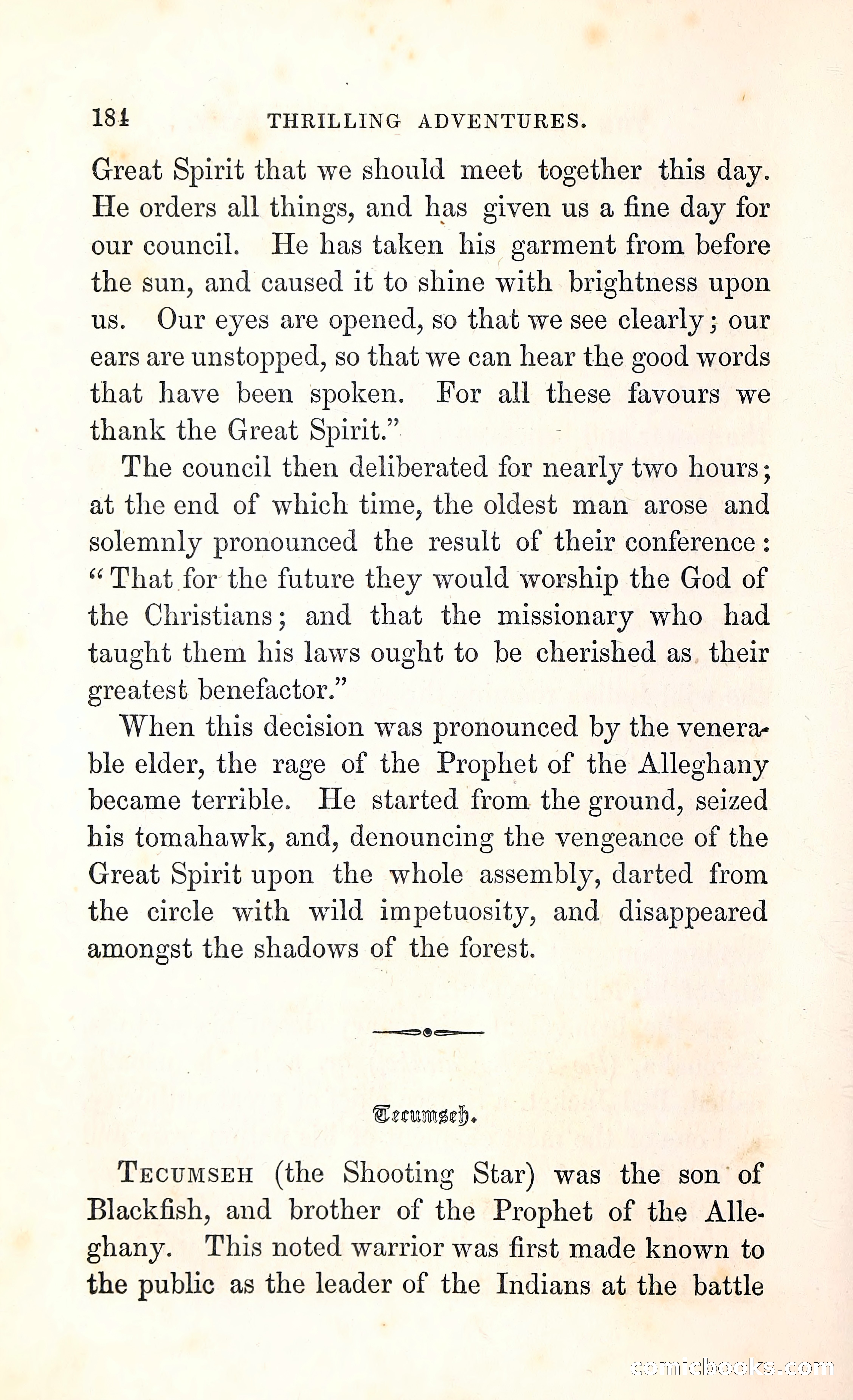 Thrilling Adventures Among the Indians — page 197 of 396