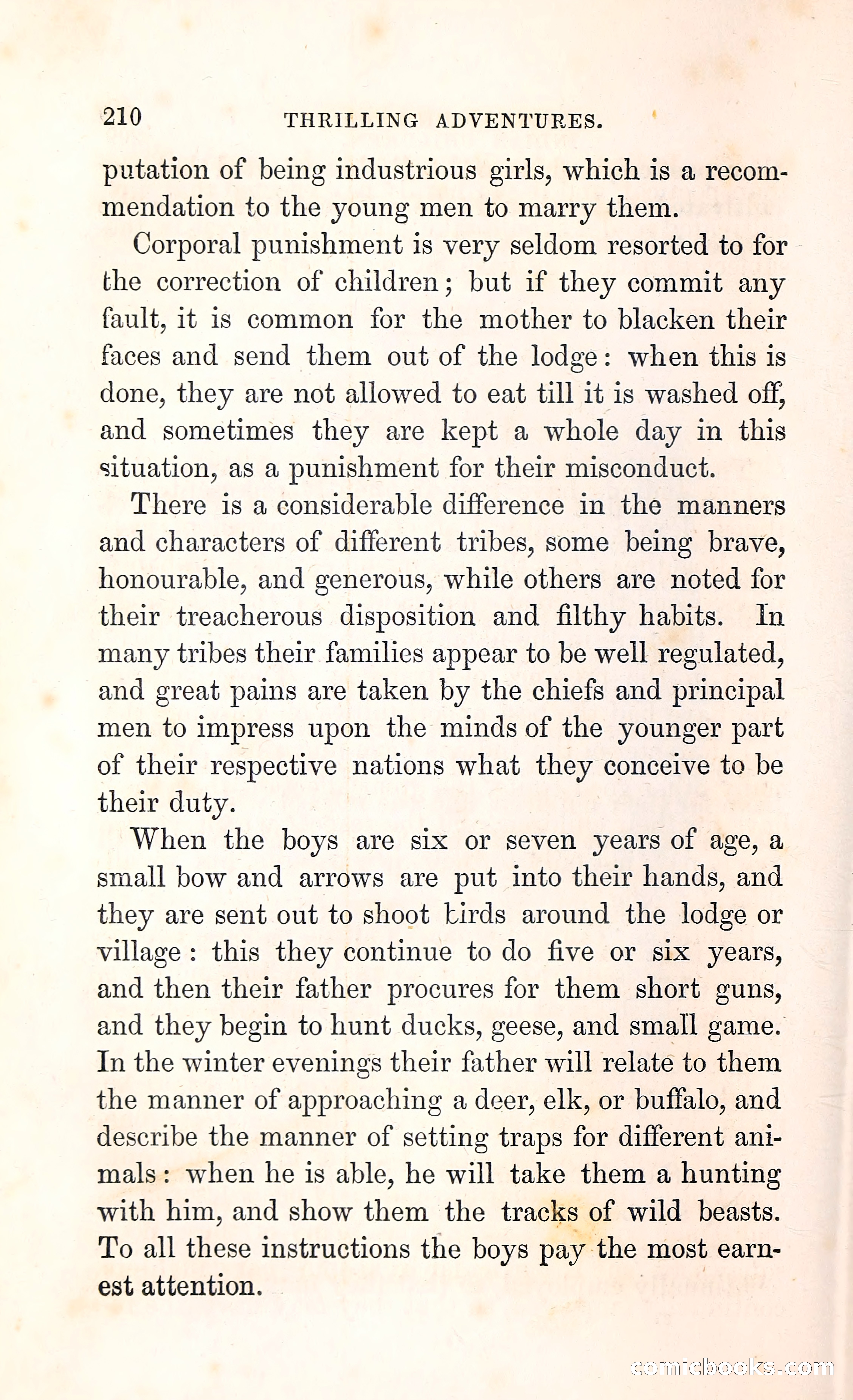 Thrilling Adventures Among the Indians — page 223 of 396