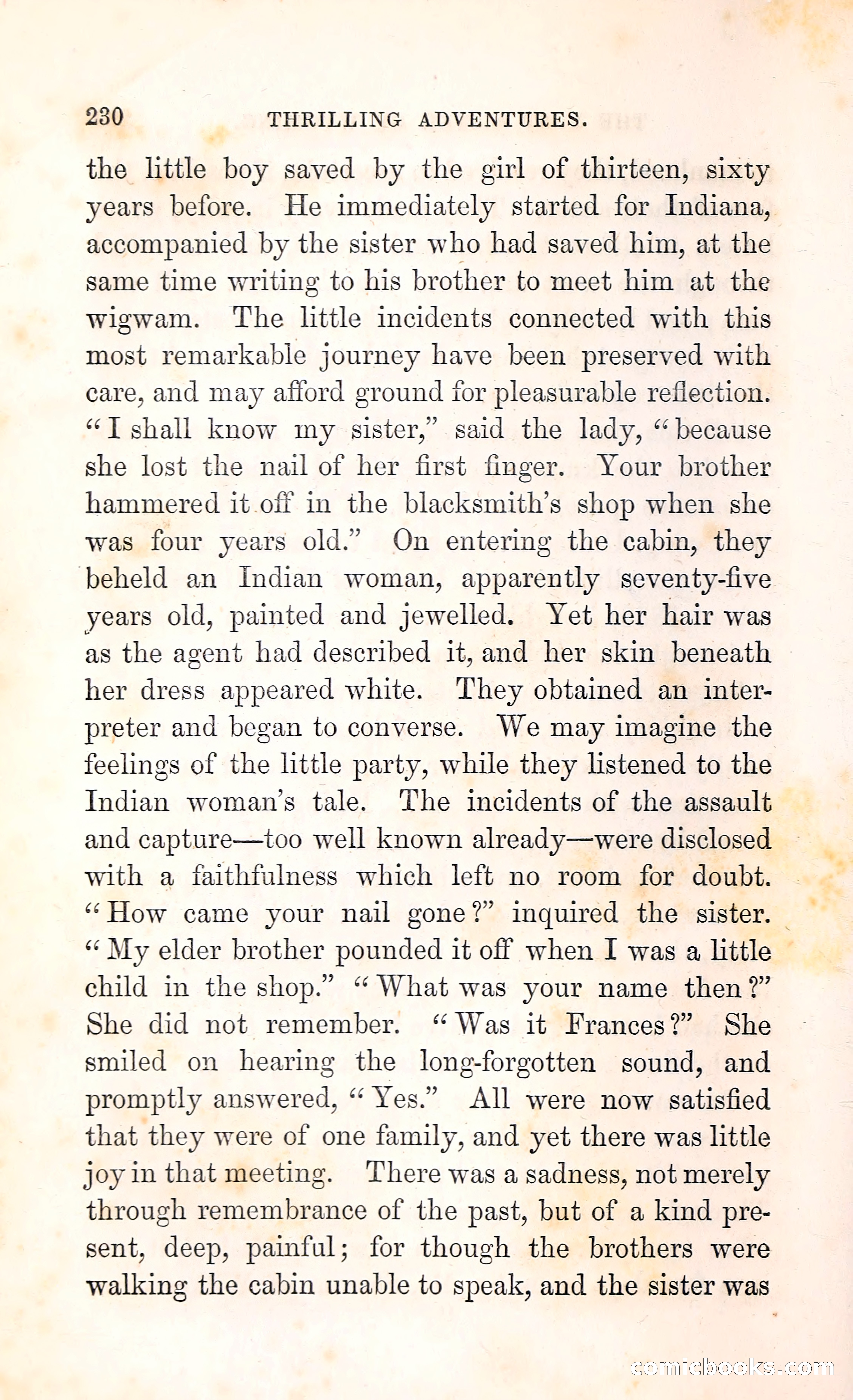 Thrilling Adventures Among the Indians — page 243 of 396