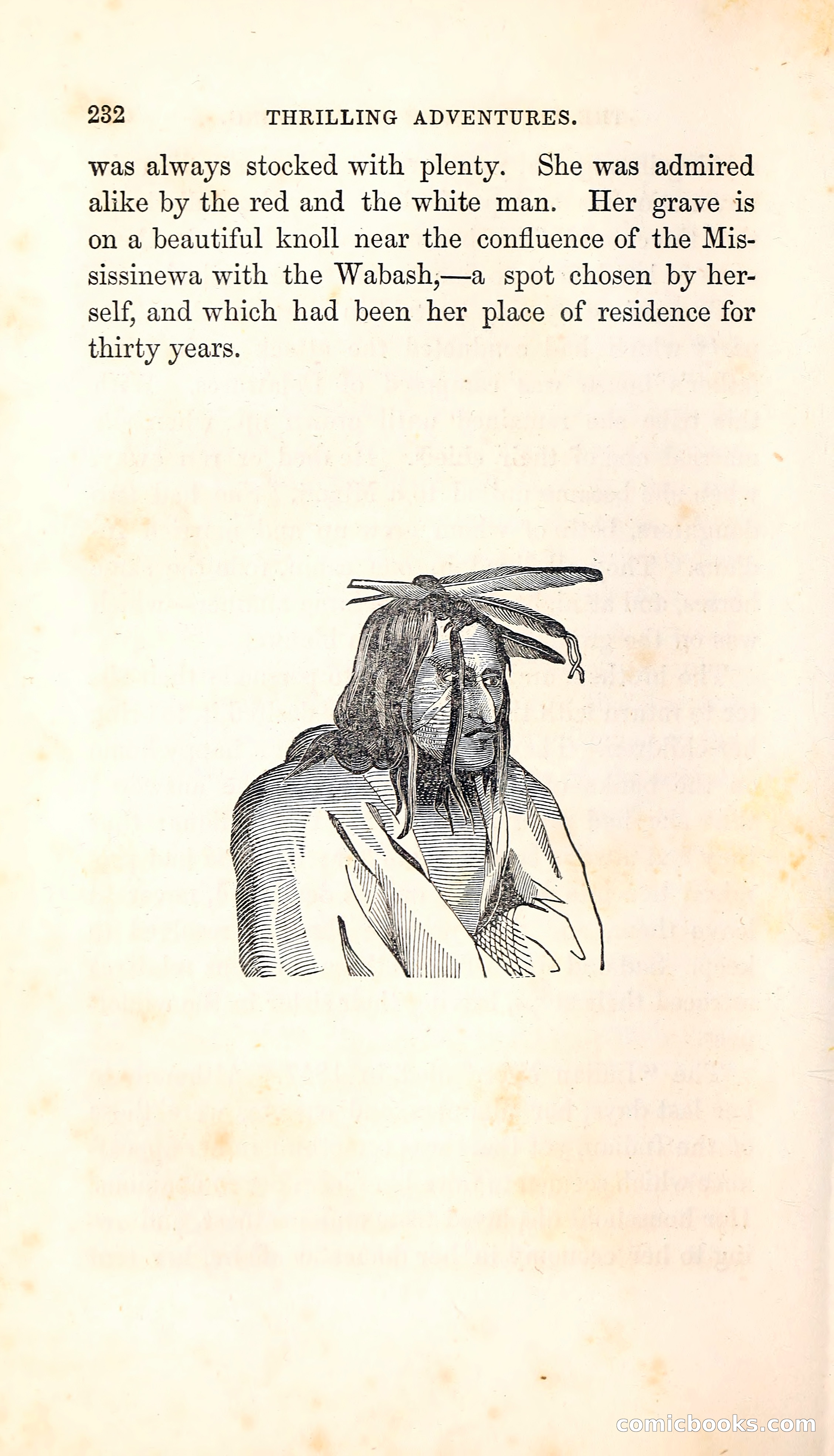 Thrilling Adventures Among the Indians — page 245 of 396
