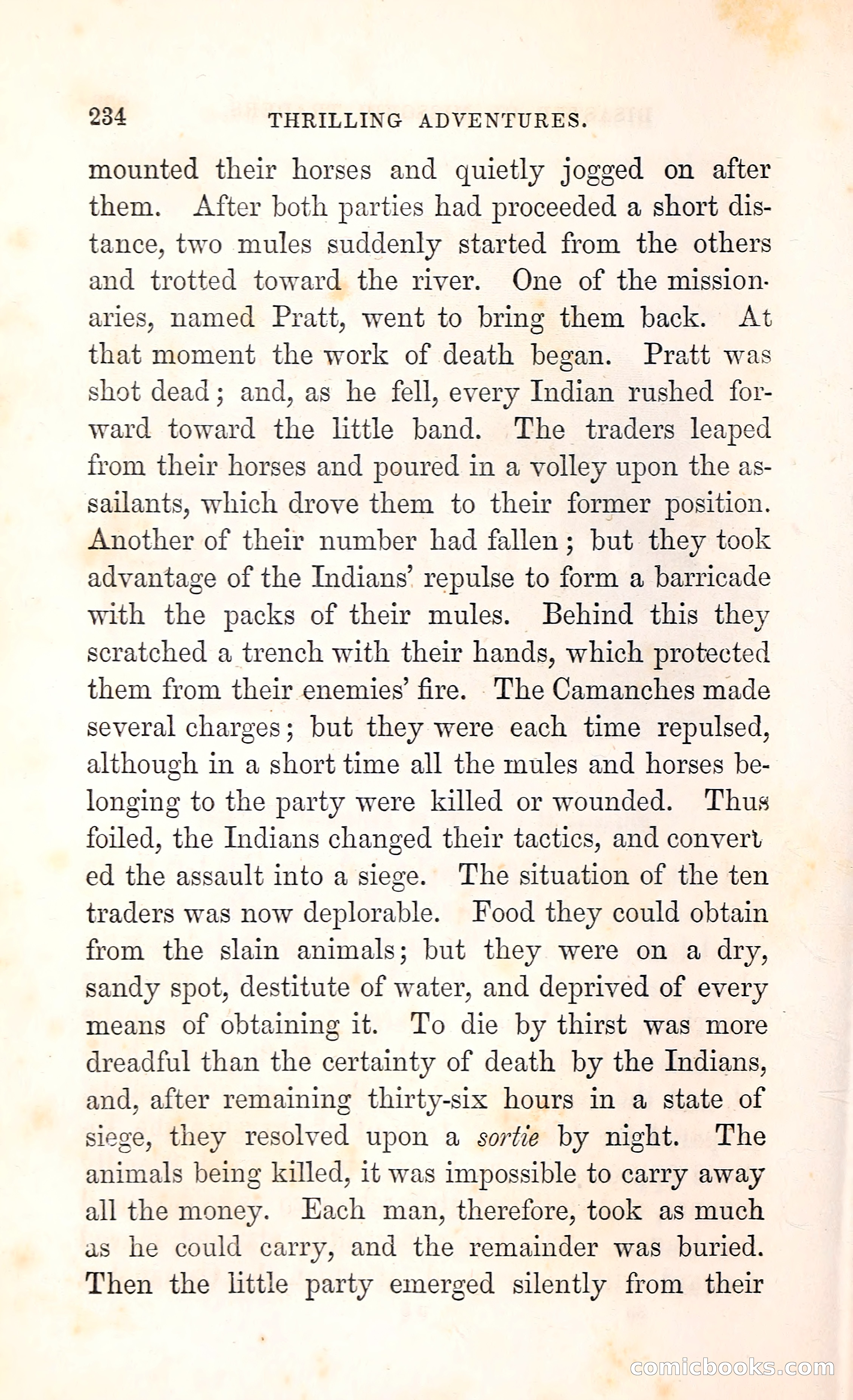 Thrilling Adventures Among the Indians — page 247 of 396
