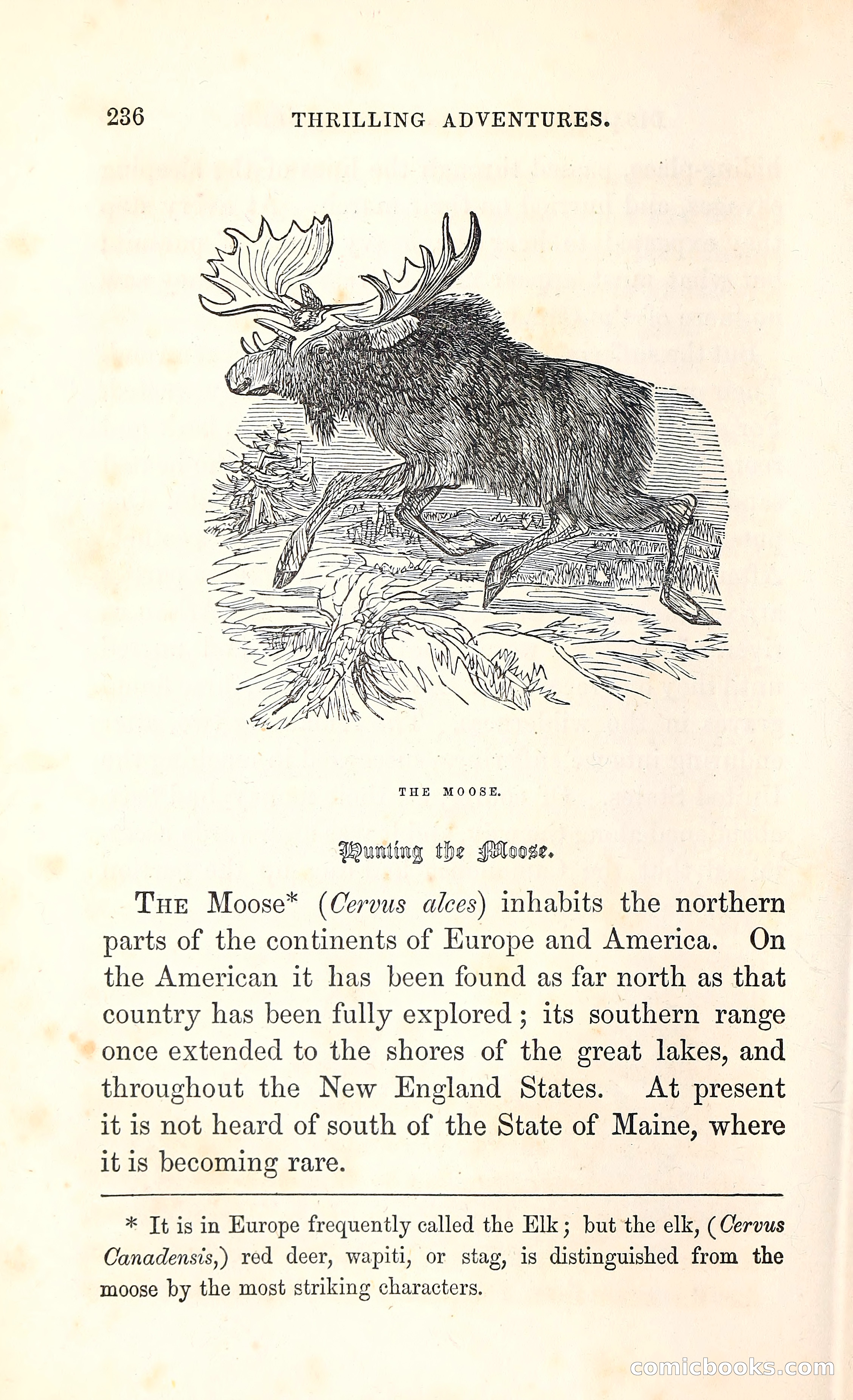 Thrilling Adventures Among the Indians — page 249 of 396