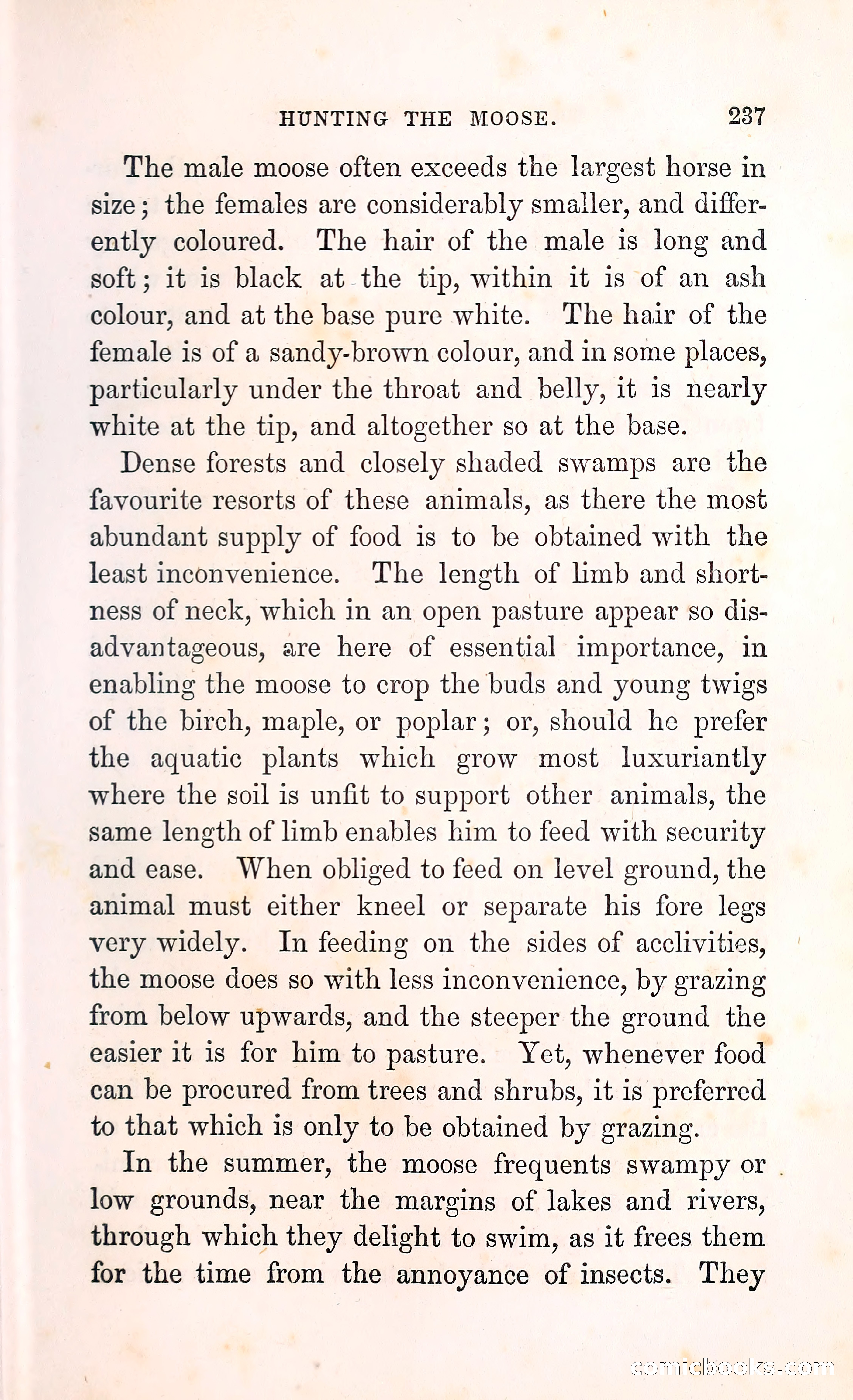 Thrilling Adventures Among the Indians — page 250 of 396