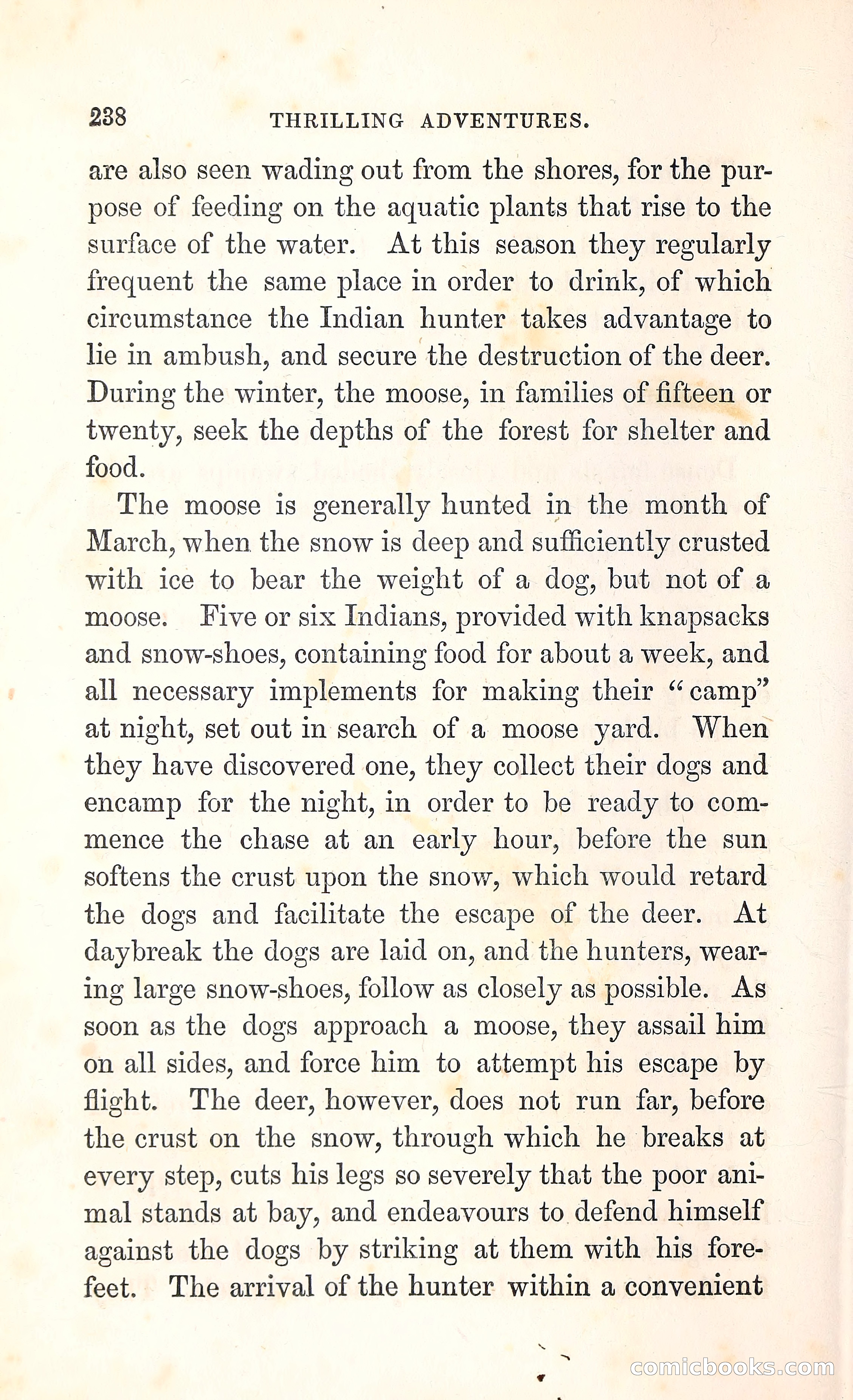 Thrilling Adventures Among the Indians — page 251 of 396