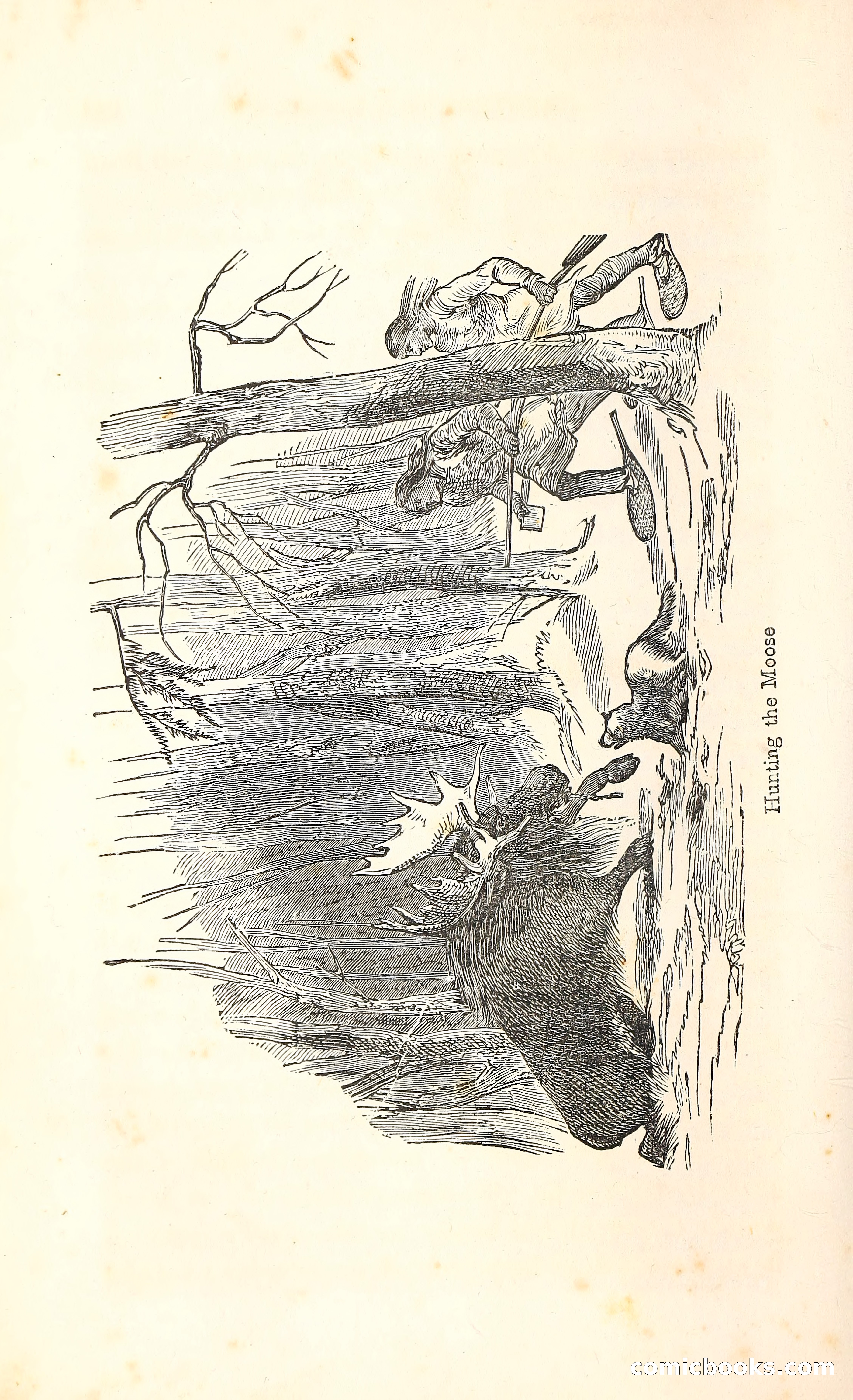 Thrilling Adventures Among the Indians — page 253 of 396