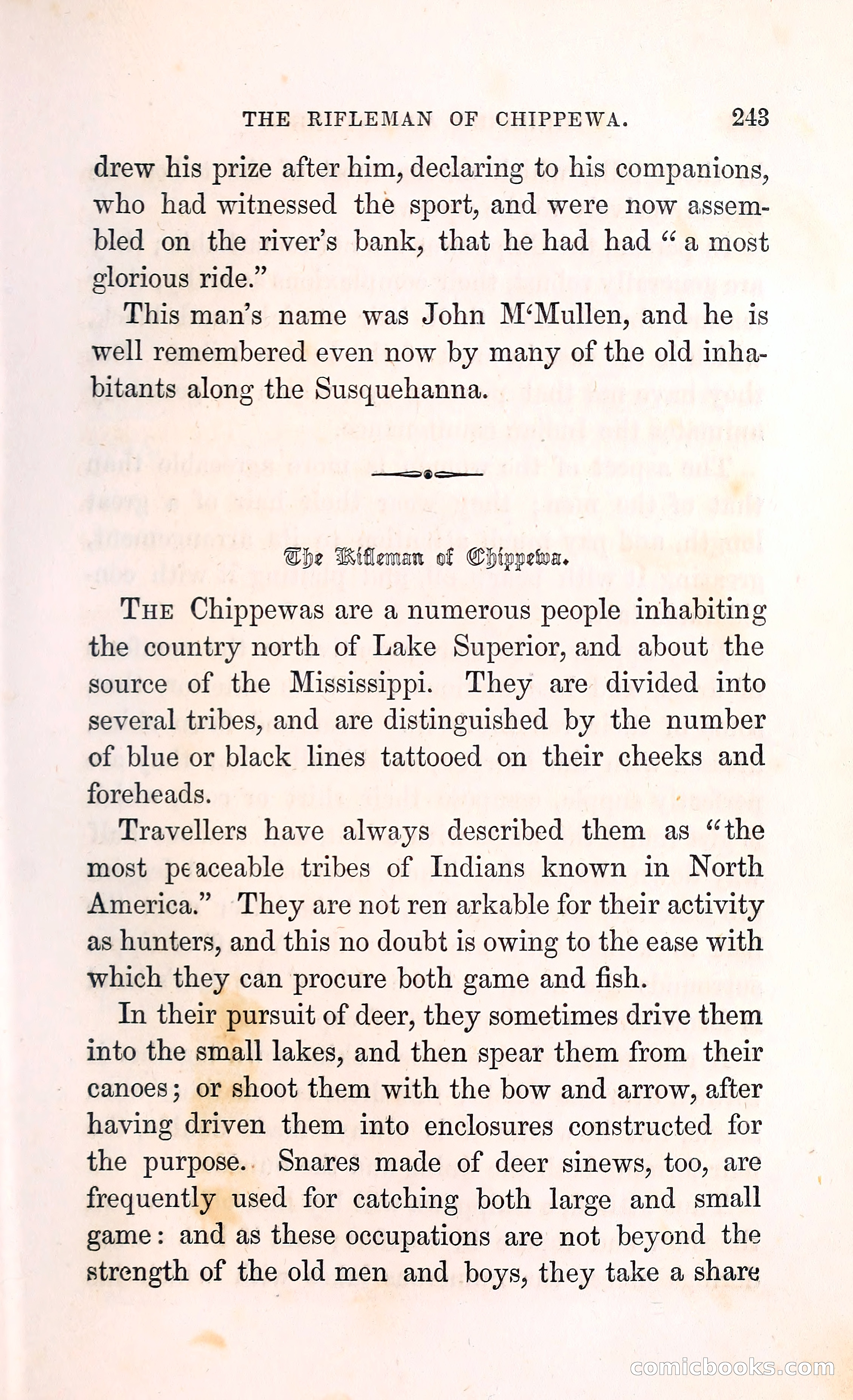 Thrilling Adventures Among the Indians — page 256 of 396