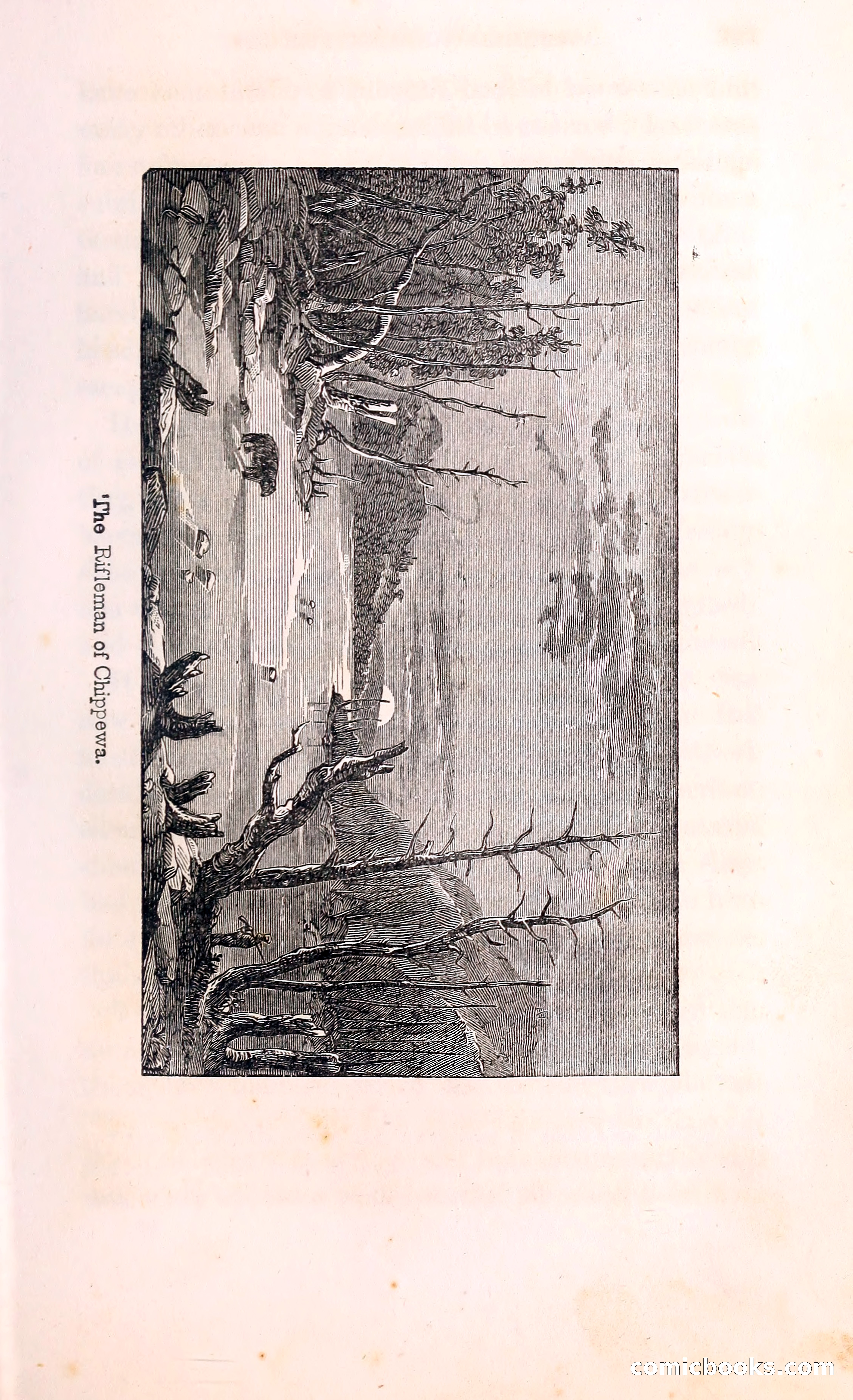 Thrilling Adventures Among the Indians — page 260 of 396