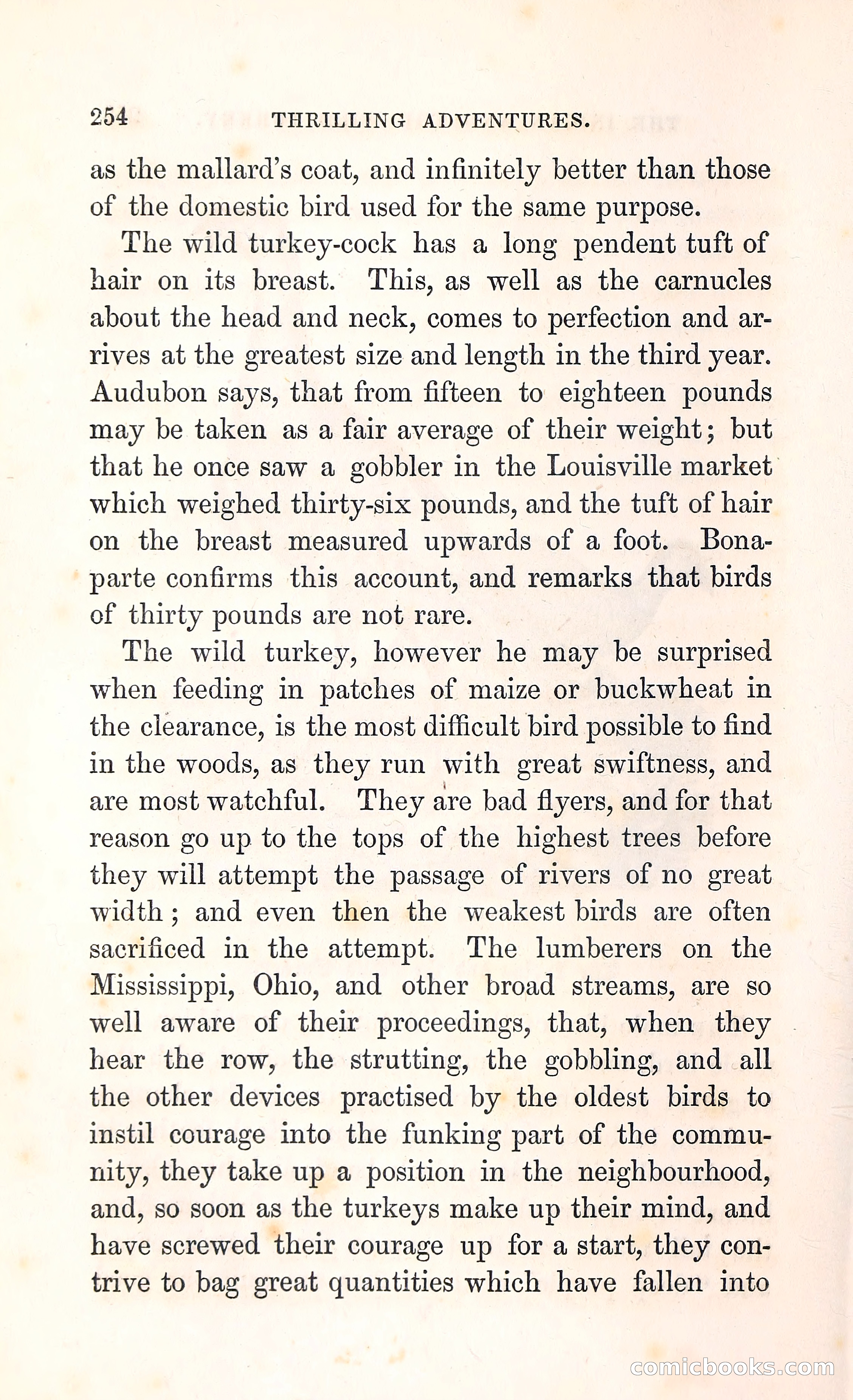 Thrilling Adventures Among the Indians — page 267 of 396