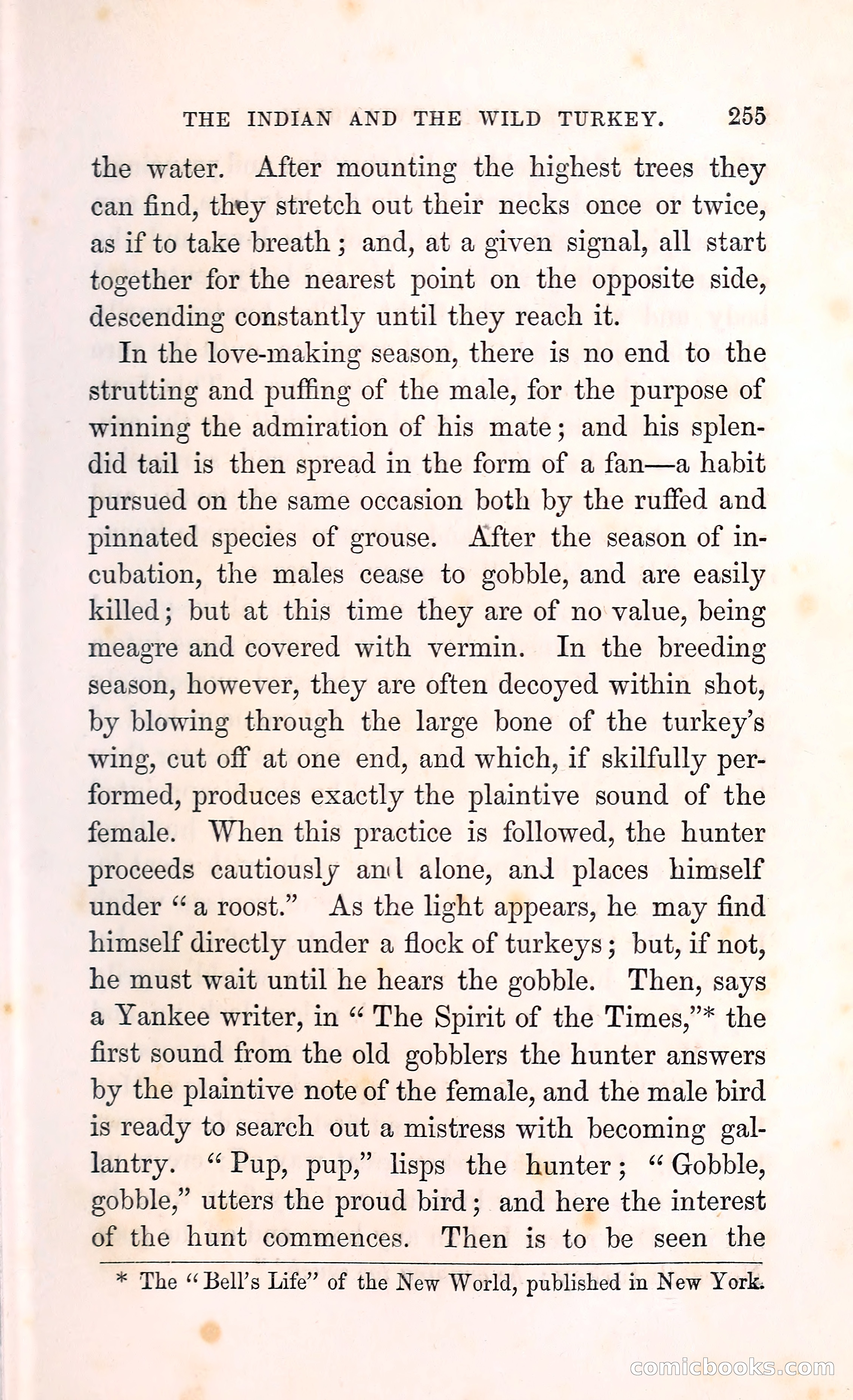Thrilling Adventures Among the Indians — page 268 of 396