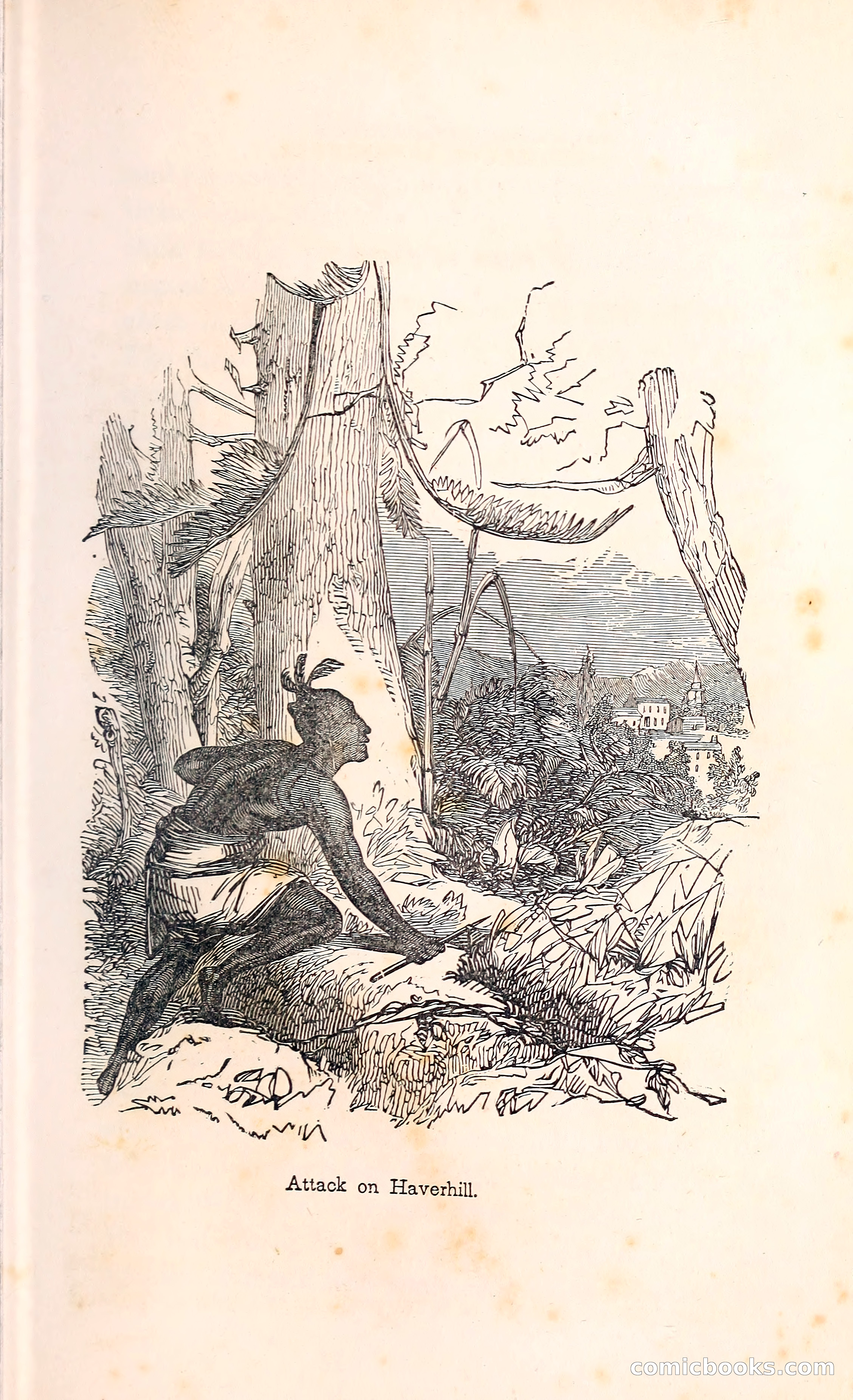 Thrilling Adventures Among the Indians — page 274 of 396