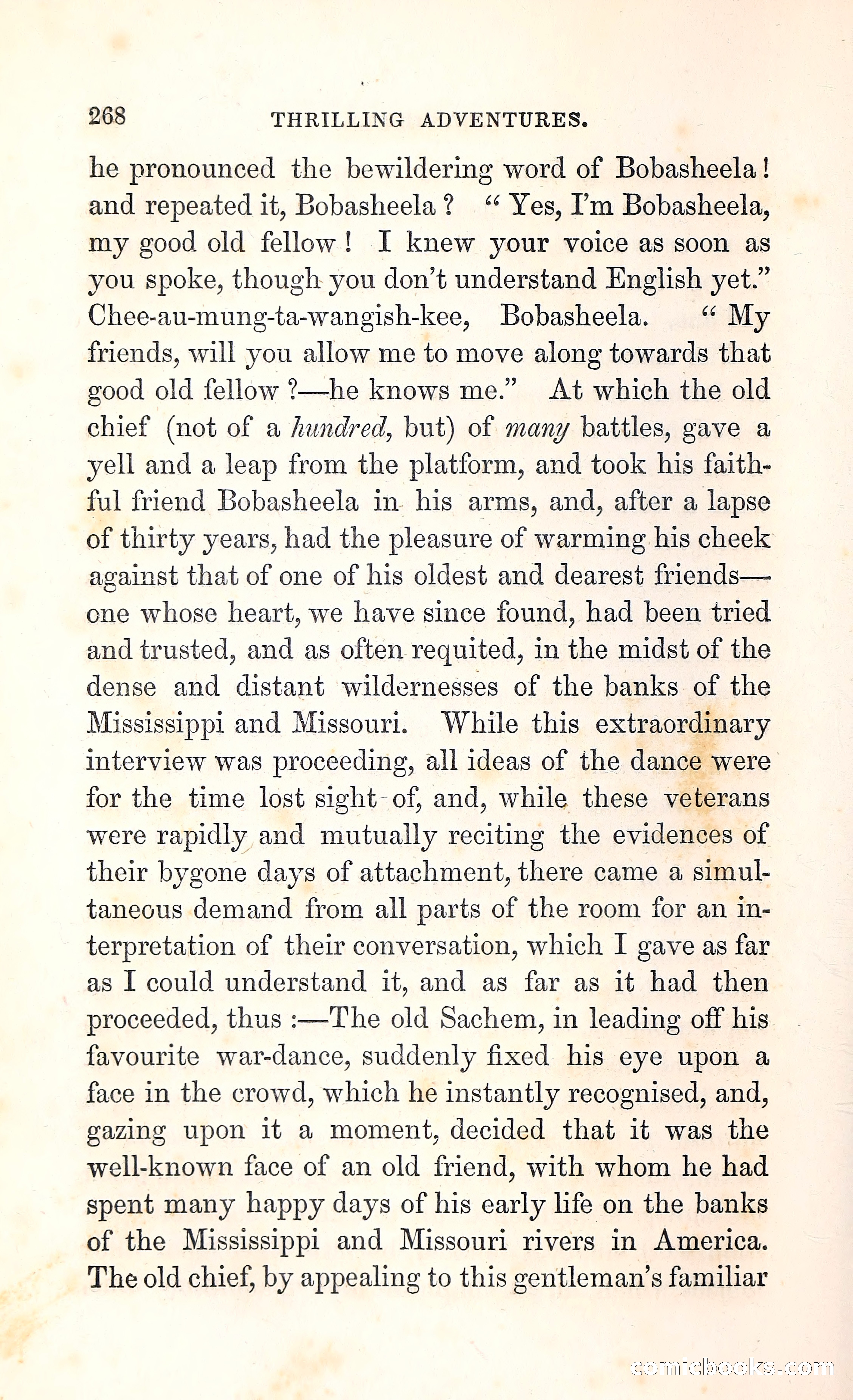 Thrilling Adventures Among the Indians — page 281 of 396
