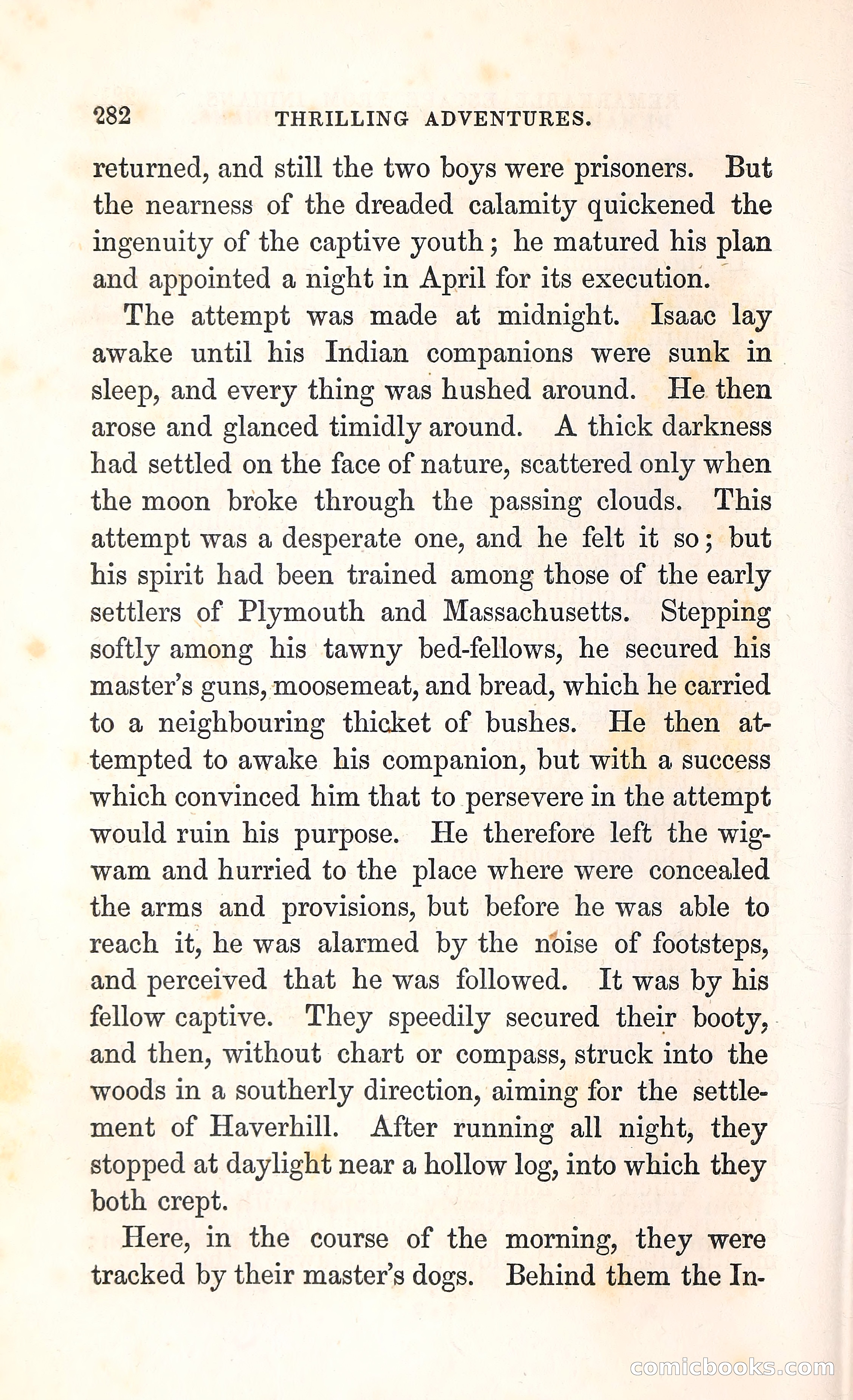 Thrilling Adventures Among the Indians — page 295 of 396