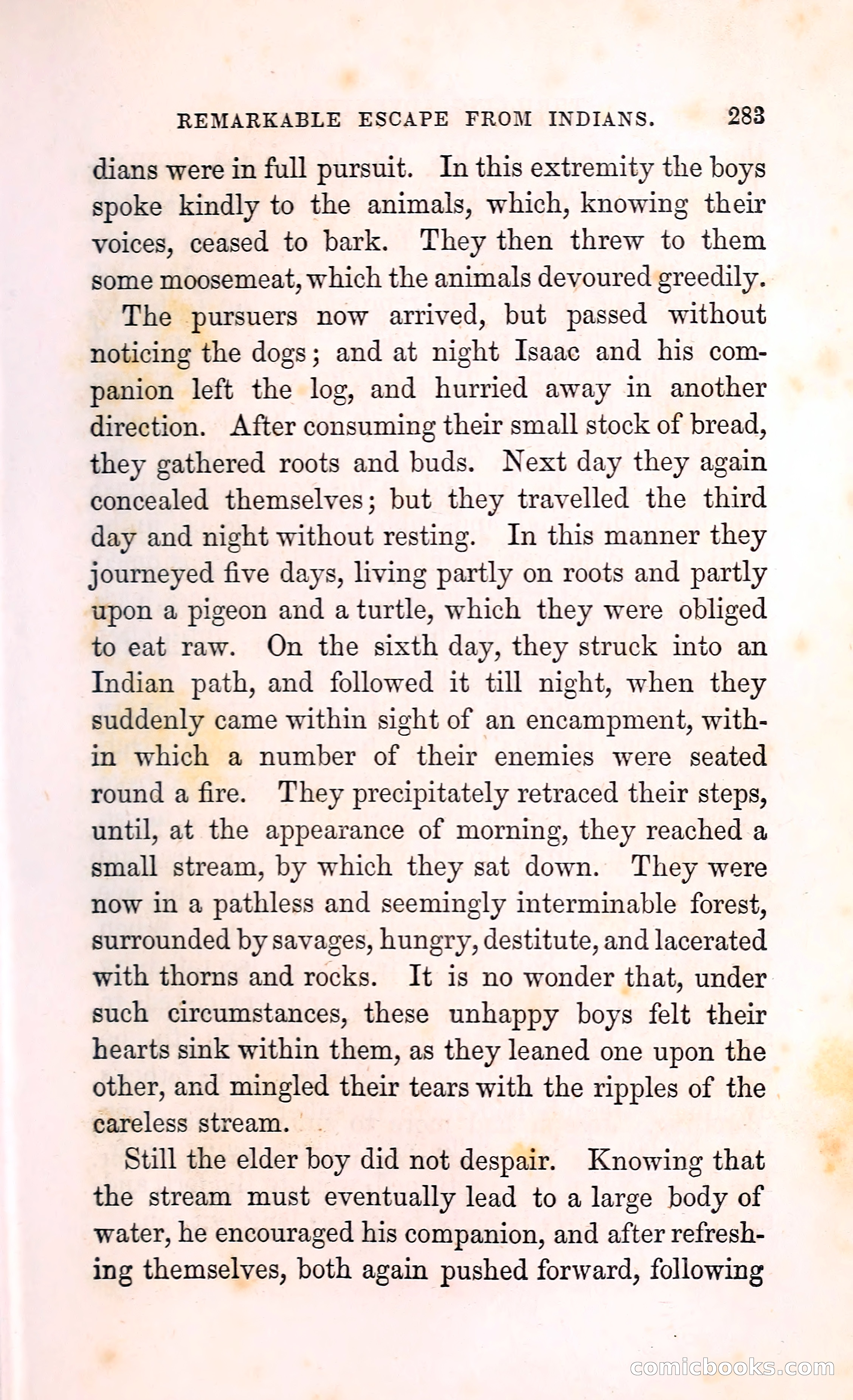 Thrilling Adventures Among the Indians — page 296 of 396