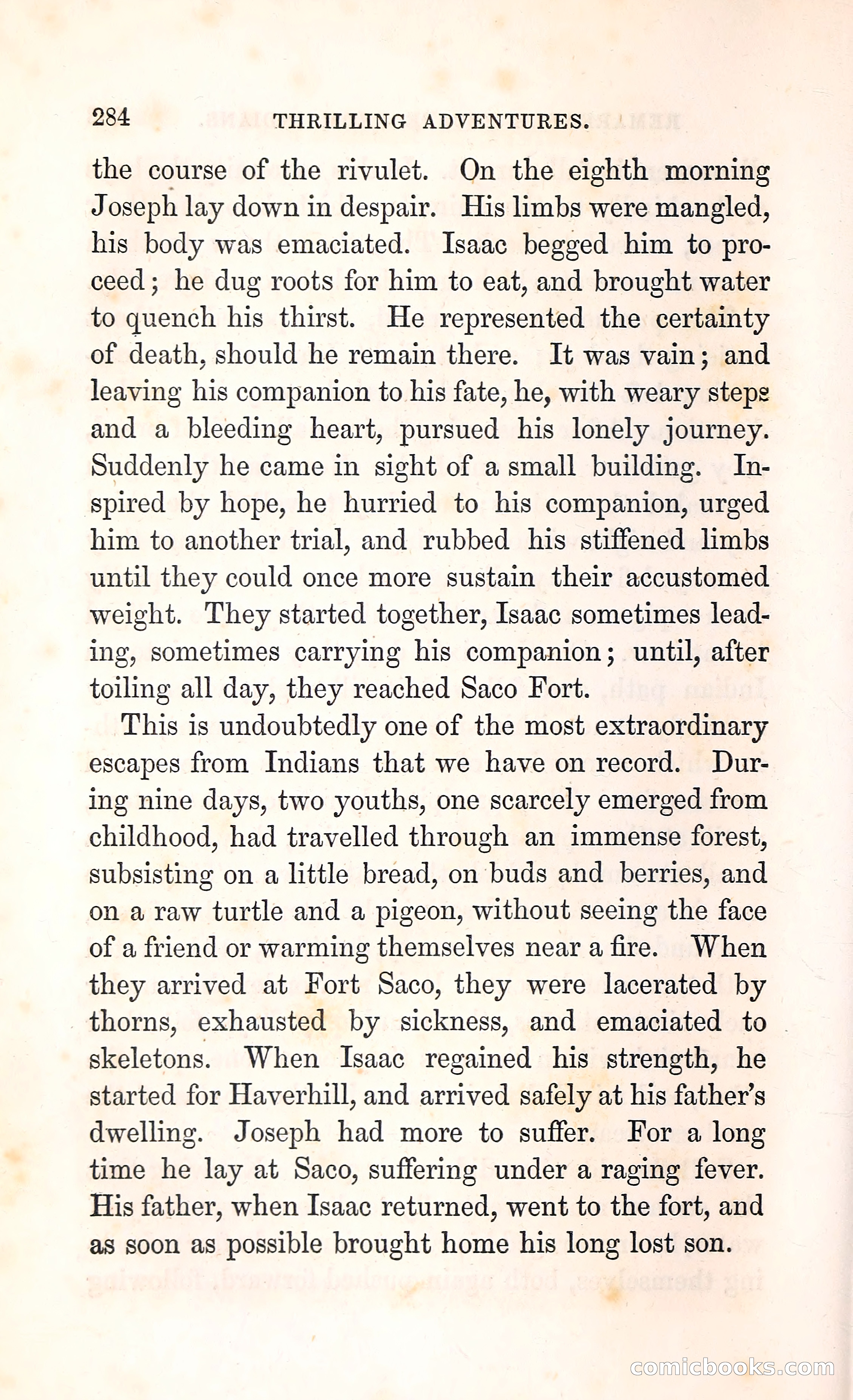 Thrilling Adventures Among the Indians — page 297 of 396