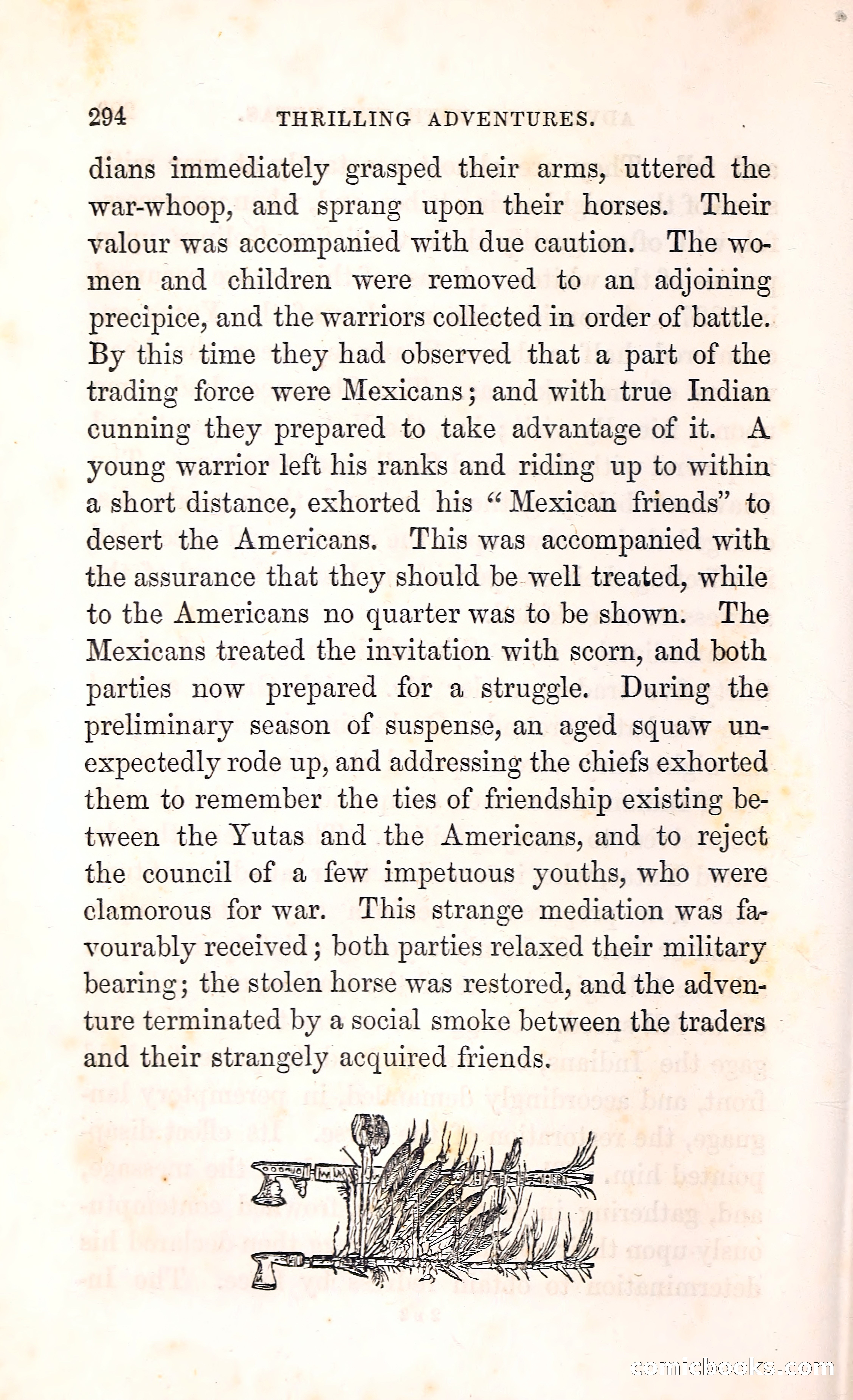 Thrilling Adventures Among the Indians — page 307 of 396