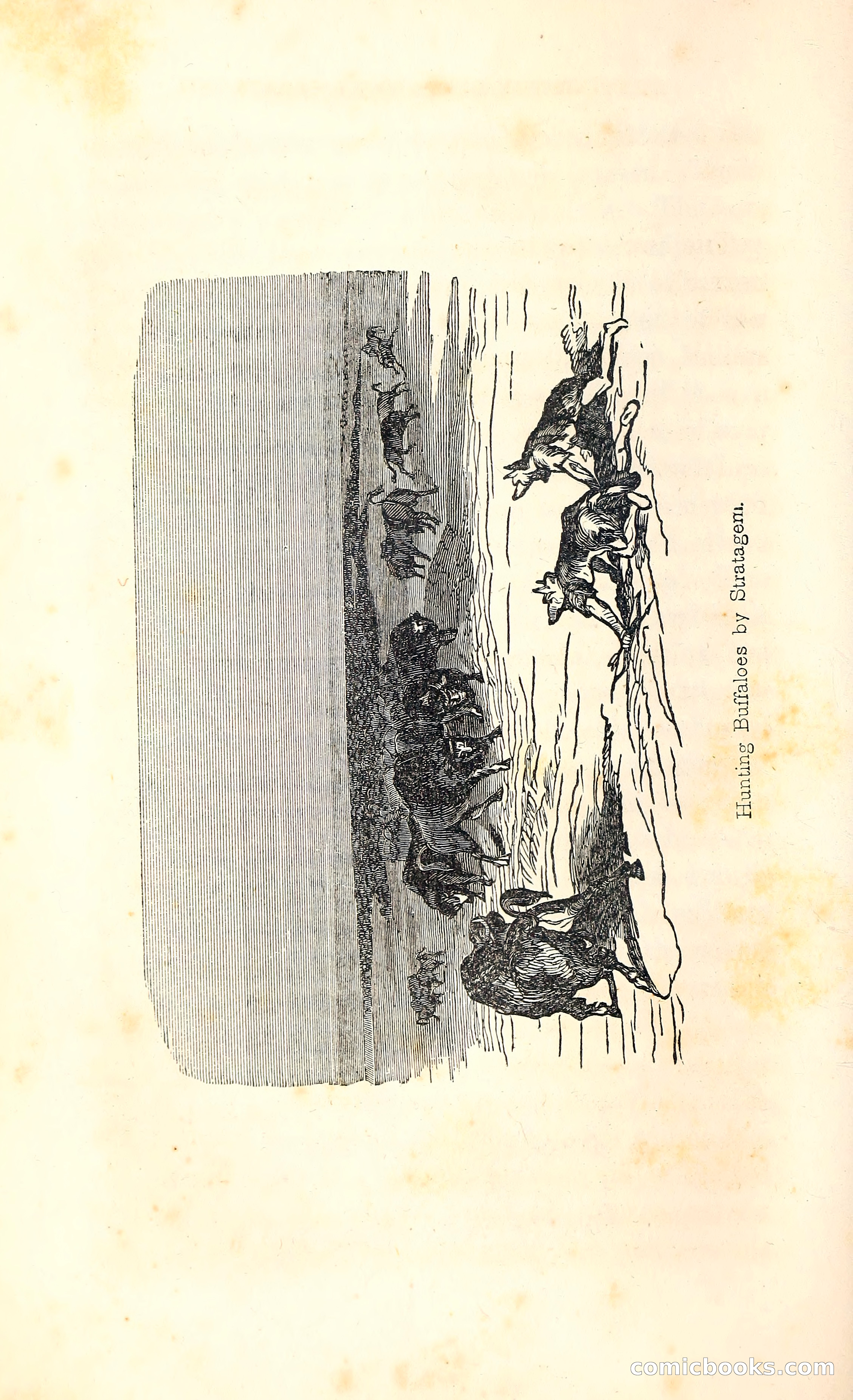 Thrilling Adventures Among the Indians — page 309 of 396